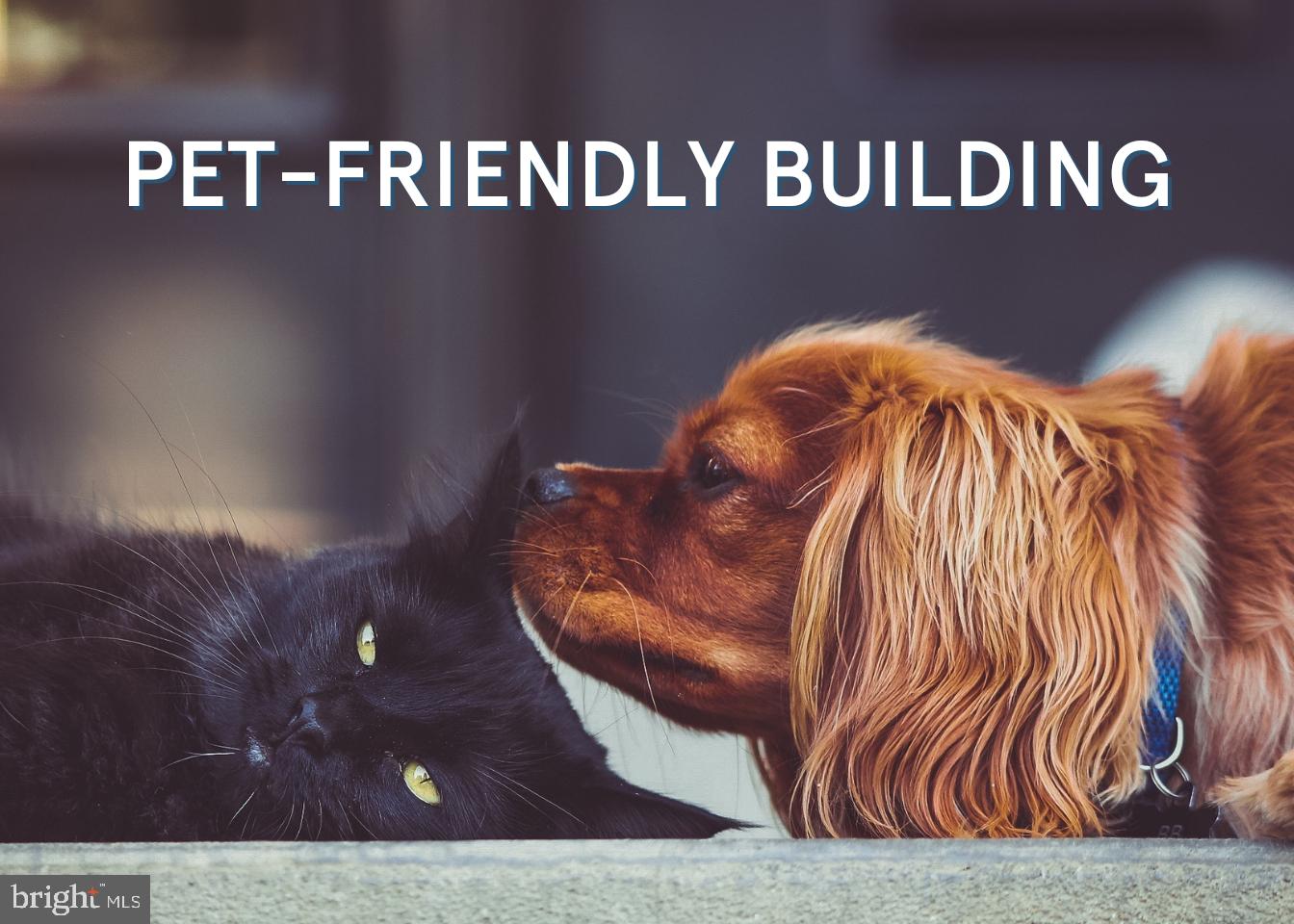 520 N ST SW #S-025, WASHINGTON, District Of Columbia 20024, 1 Bedroom Bedrooms, ,1 BathroomBathrooms,Residential,For sale,520 N ST SW #S-025,DCDC2221910 MLS # DCDC2221910 520 N ST SW #S-025, WASHINGTON, District Of Columbia 20024, 1 Bedroom Bedrooms, ,1 BathroomBathrooms,Residential,For sale,520 N ST SW #S-025,DCDC2221910 MLS # DCDC2221910