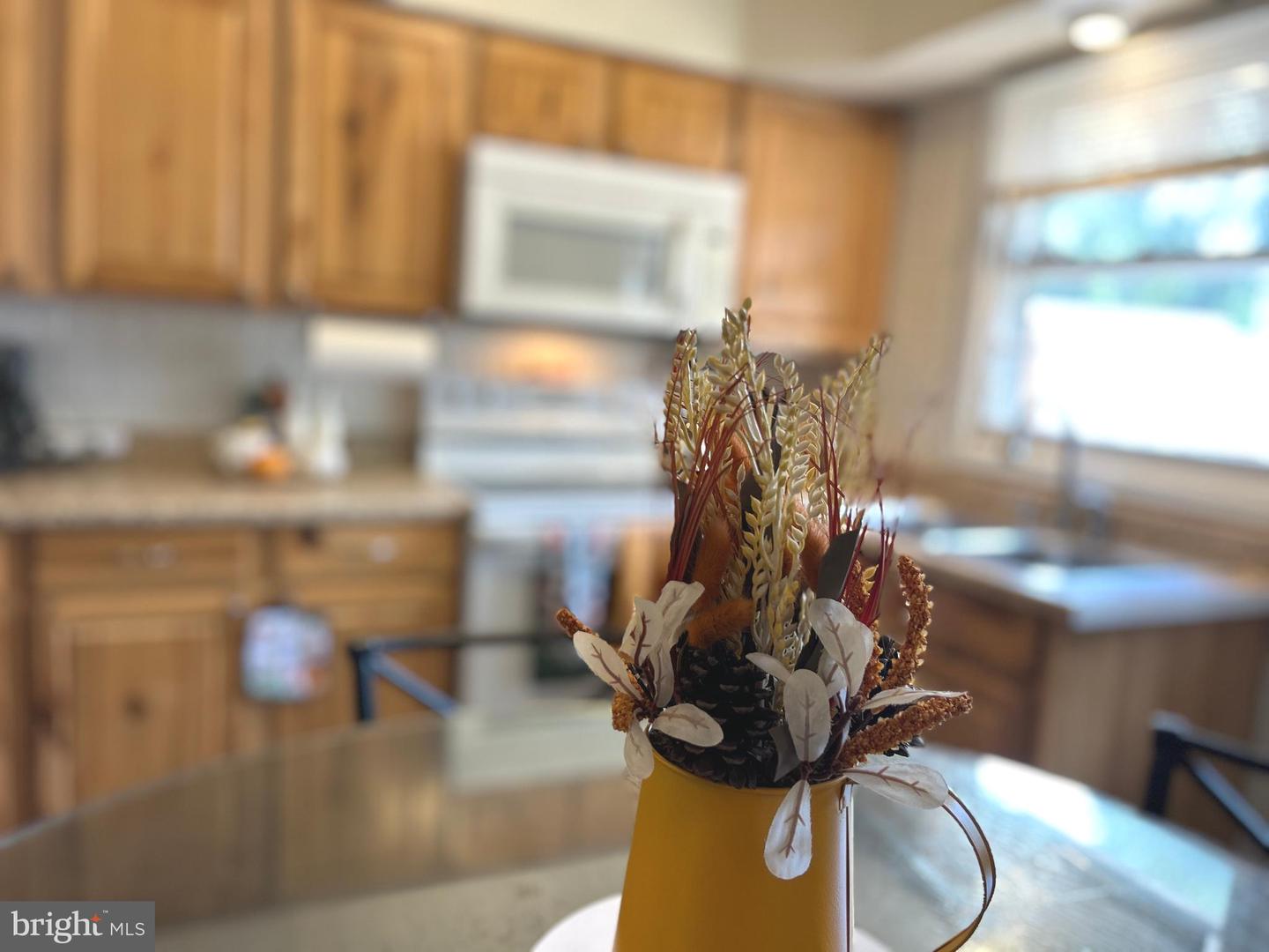 349 RITENOUR ST, FRONT ROYAL, Virginia 22630, 3 Bedrooms Bedrooms, 6 Rooms Rooms,1 BathroomBathrooms,Residential,For sale,349 RITENOUR ST,VAWR2012282 MLS # VAWR2012282 349 RITENOUR ST, FRONT ROYAL, Virginia 22630, 3 Bedrooms Bedrooms, 6 Rooms Rooms,1 BathroomBathrooms,Residential,For sale,349 RITENOUR ST,VAWR2012282 MLS # VAWR2012282