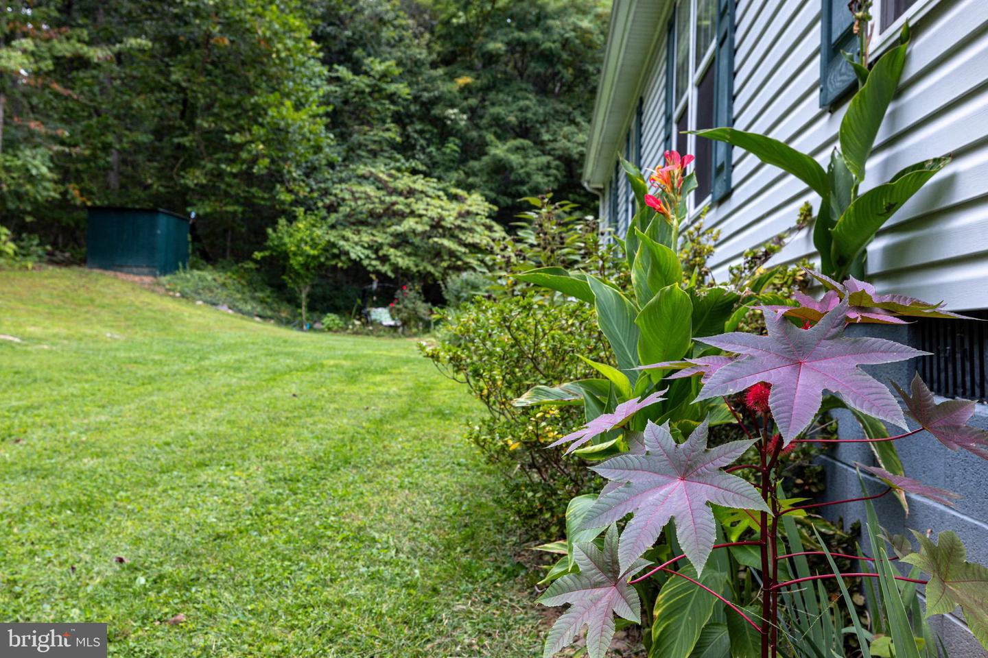 287 MOCKINGBIRD LN, LURAY, Virginia 22835, 3 Bedrooms Bedrooms, ,2 BathroomsBathrooms,Residential,For sale,287 MOCKINGBIRD LN,VAPA2005366 MLS # VAPA2005366