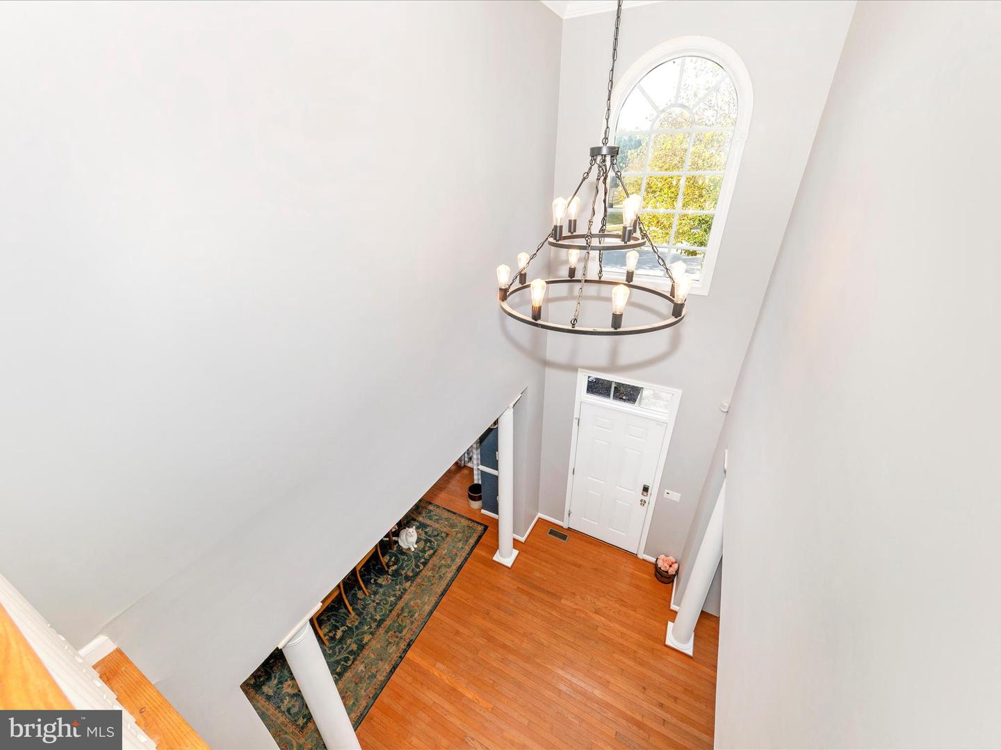 34 LANGE DR, LOVETTSVILLE, Virginia 20180, 5 Bedrooms Bedrooms, 19 Rooms Rooms,3 BathroomsBathrooms,Residential,For sale,34 LANGE DR,VALO2106324 MLS # VALO2106324