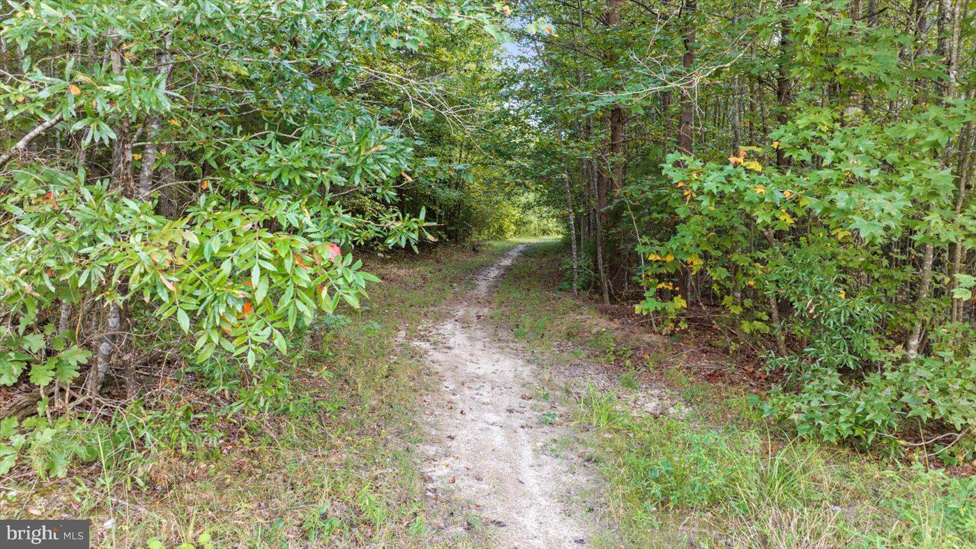 9900 DUERSON LN, PARTLOW, Virginia 22534, 3 Bedrooms Bedrooms, ,2 BathroomsBathrooms,Residential,For sale,9900 DUERSON LN,VASP2036270 MLS # VASP2036270
