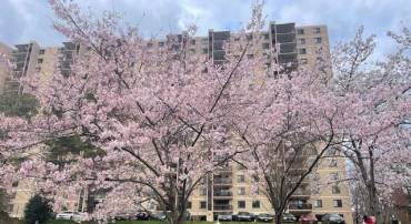 309 YOAKUM PKWY #512, ALEXANDRIA, Virginia 22304, 2 Bedrooms Bedrooms, 5 Rooms Rooms,2 BathroomsBathrooms,Residential,For sale,309 YOAKUM PKWY #512,VAAX2049710 MLS # VAAX2049710