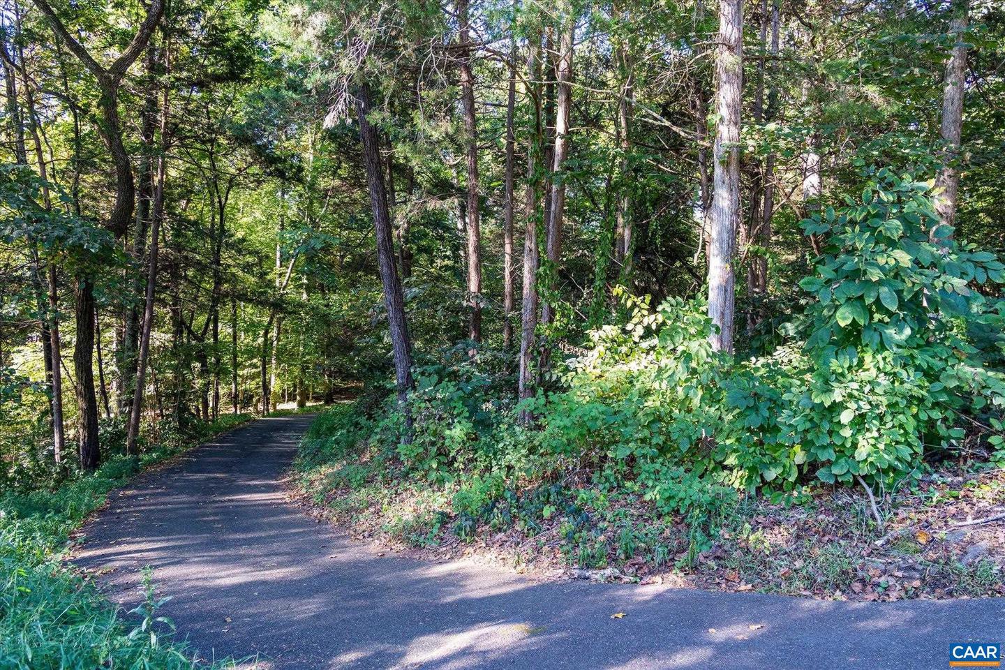0 STONEY CREEK WEST #E13, NELLYSFORD, Virginia 22958, ,Land,For sale,0 STONEY CREEK WEST #E13,669052 MLS # 669052