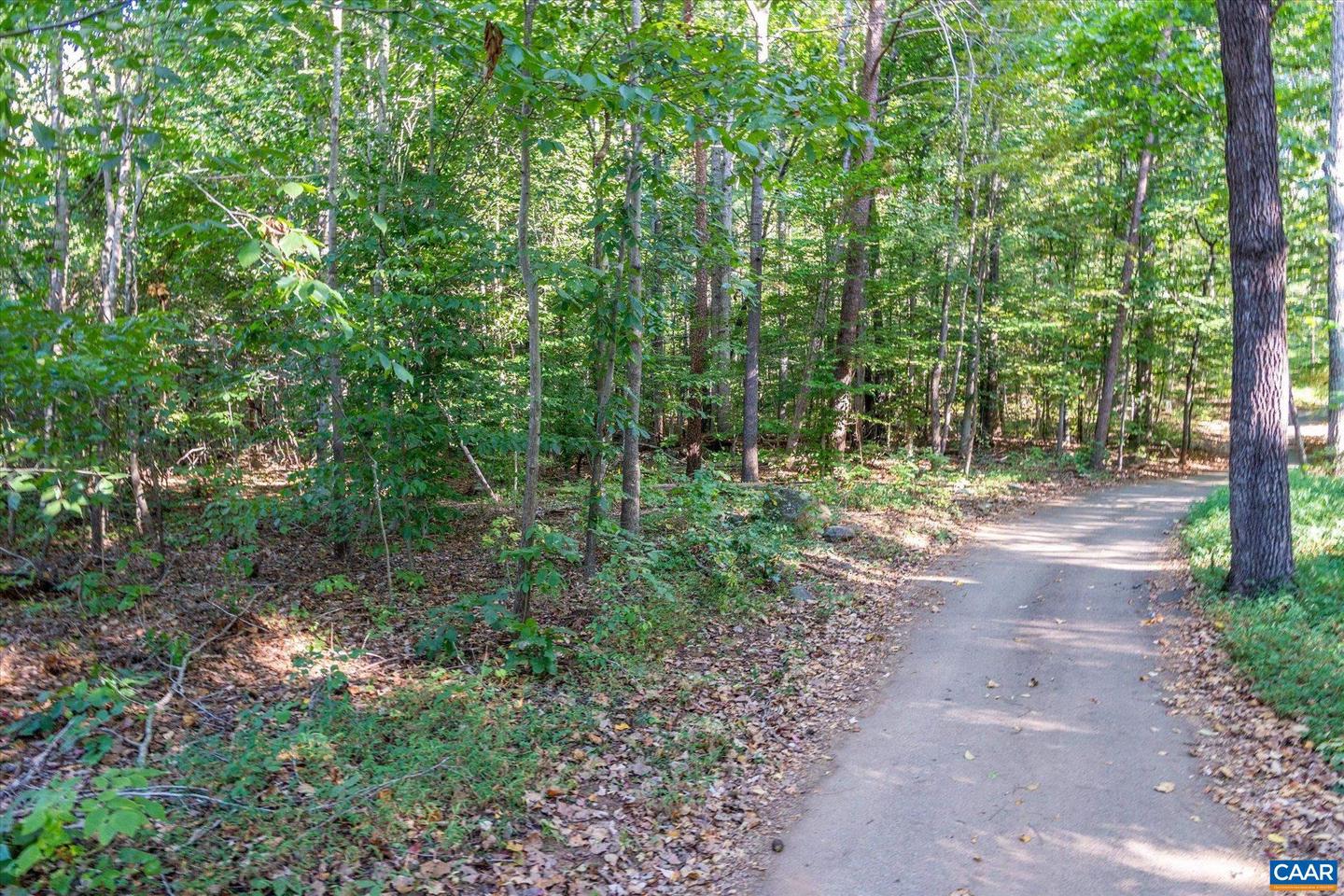 0 STONEY CREEK WEST #E13, NELLYSFORD, Virginia 22958, ,Land,For sale,0 STONEY CREEK WEST #E13,669052 MLS # 669052