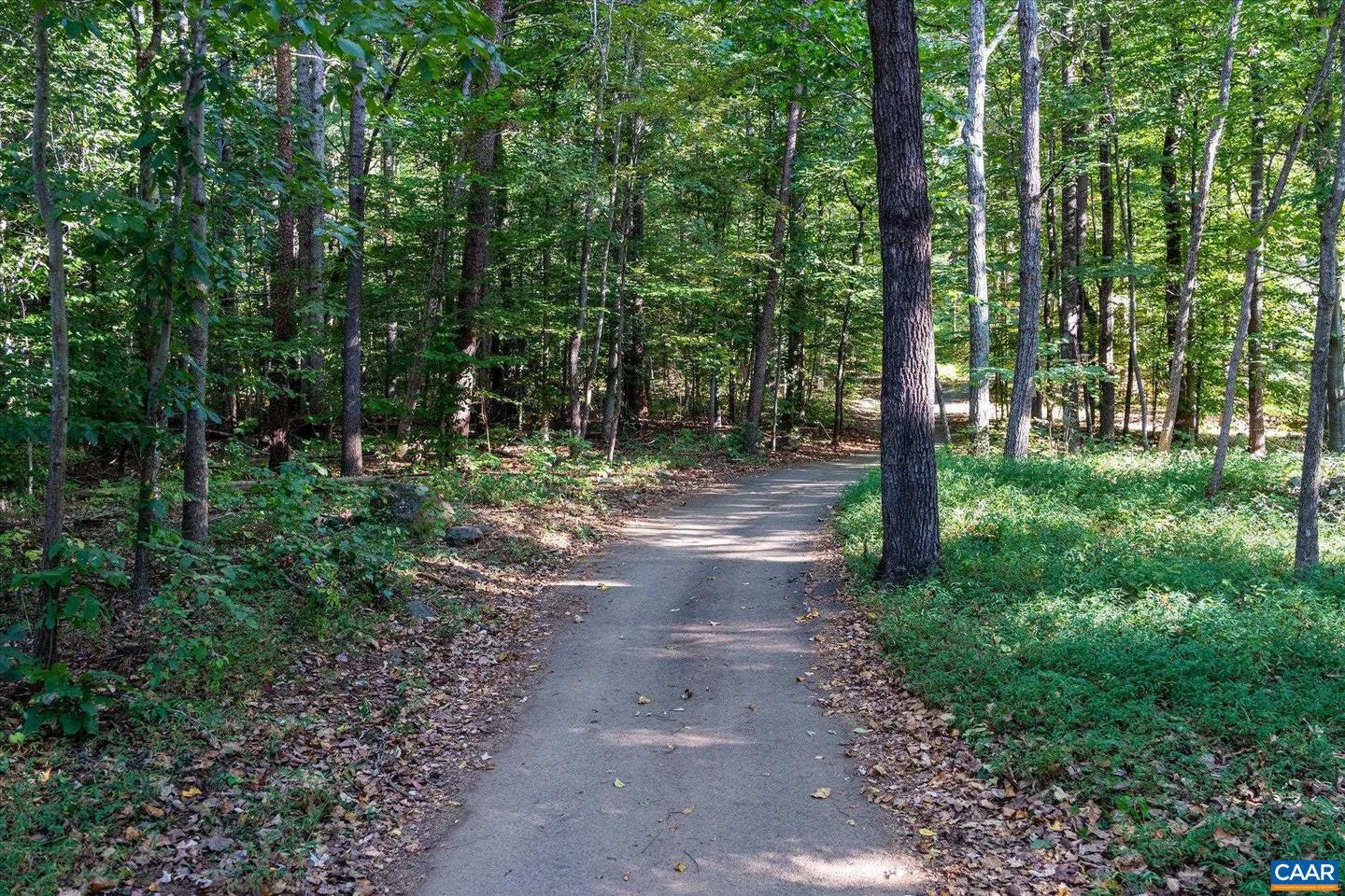 0 STONEY CREEK WEST #E13, NELLYSFORD, Virginia 22958, ,Land,For sale,0 STONEY CREEK WEST #E13,669052 MLS # 669052