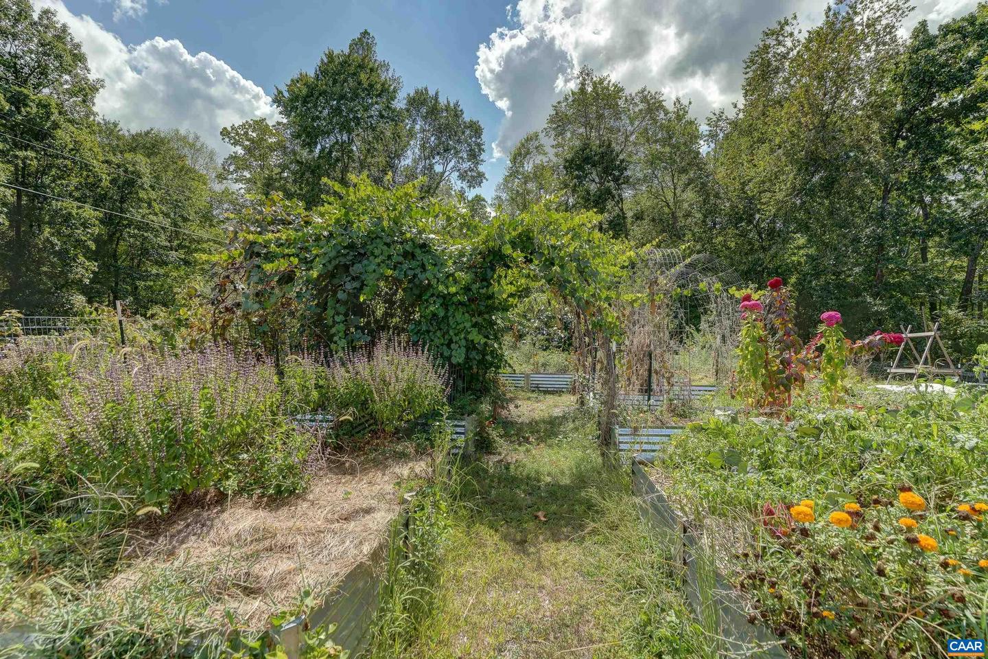 3161 ROLLING RD S, SCOTTSVILLE, Virginia 24590, 3 Bedrooms Bedrooms, ,1 BathroomBathrooms,Residential,For sale,3161 ROLLING RD S,669047 MLS # 669047