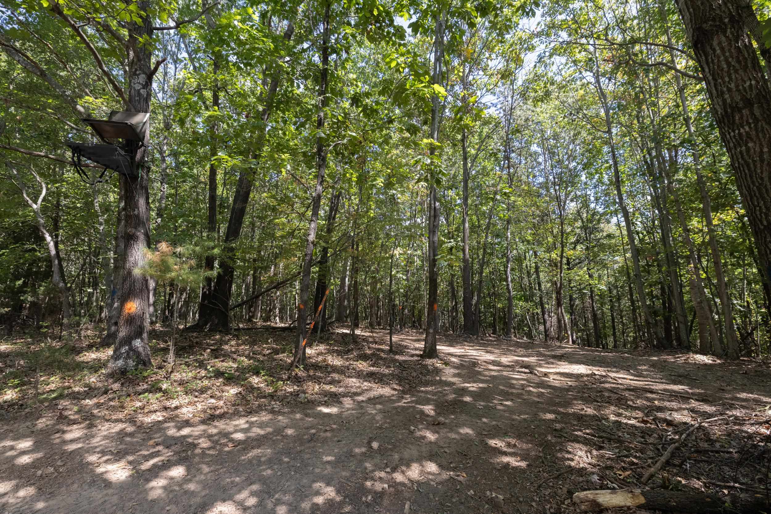 1370 MIDDLEBROOK RD, STAUNTON, Virginia 24401, 5 Bedrooms Bedrooms, ,4 BathroomsBathrooms,Residential,Lola's Farm https://view.spiro.media/1370-middl,1370 MIDDLEBROOK RD,669053 MLS # 669053