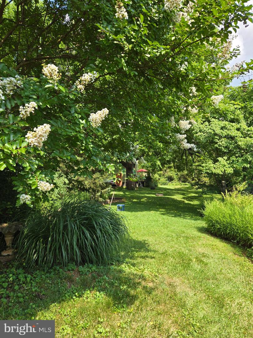 802 S BLUE RIDGE AVE, CULPEPER, Virginia 22701, 5 Bedrooms Bedrooms, ,2 BathroomsBathrooms,Residential,For sale,802 S BLUE RIDGE AVE,VACU2011422 MLS # VACU2011422