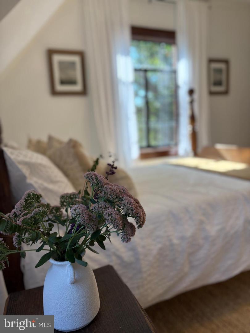 515 MOUNT SALEM AVE, WASHINGTON, Virginia 22747, 4 Bedrooms Bedrooms, ,2 BathroomsBathrooms,Residential,For sale,515 MOUNT SALEM AVE,VARP2002276 MLS # VARP2002276