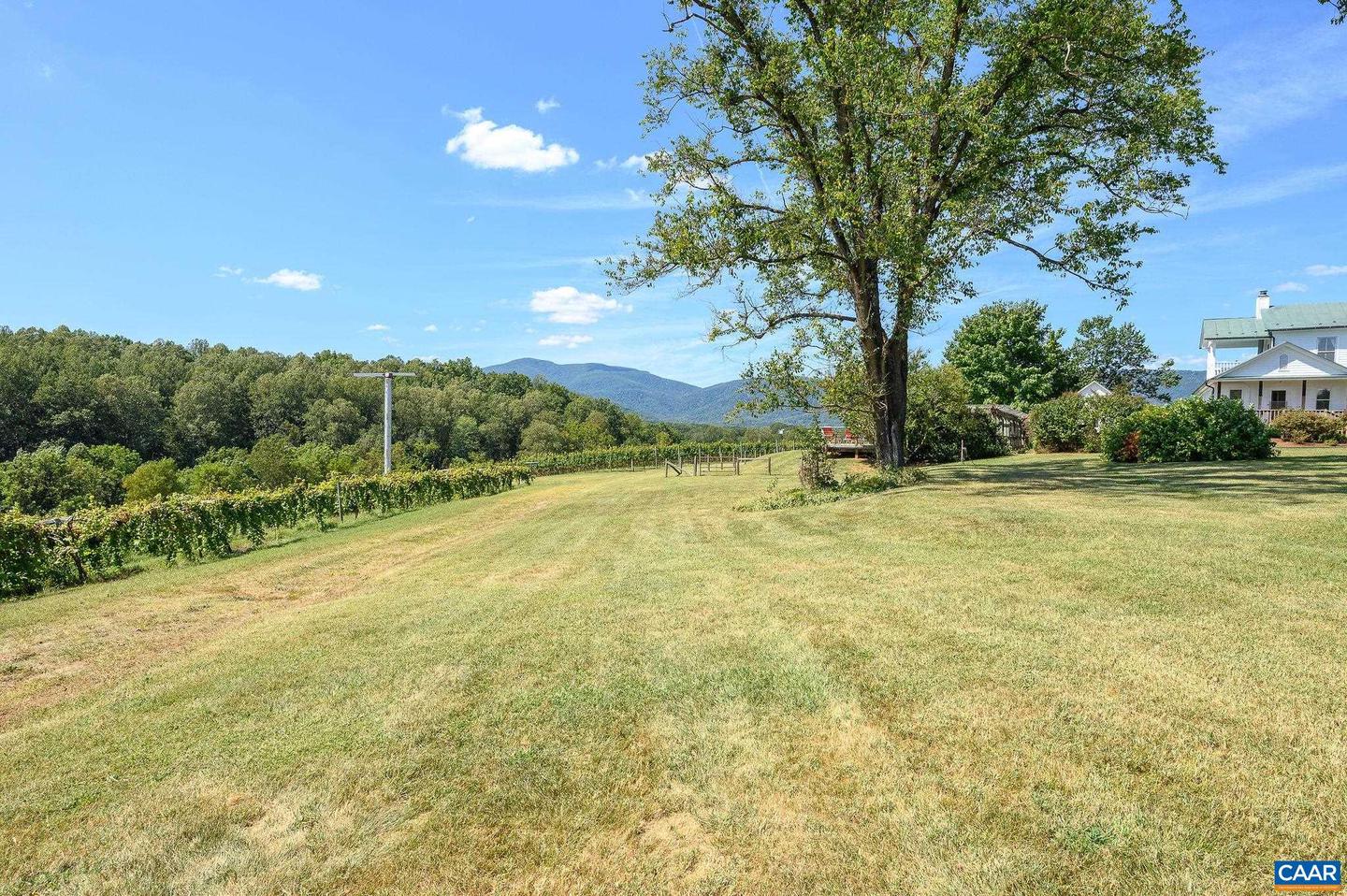 9175 BATESVILLE RD, AFTON, Virginia 22902, 5 Bedrooms Bedrooms, ,3 BathroomsBathrooms,Residential,For sale,9175 BATESVILLE RD,669061 MLS # 669061