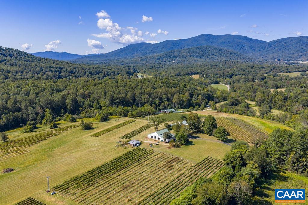 9175 BATESVILLE RD, AFTON, Virginia 22902, 5 Bedrooms Bedrooms, ,3 BathroomsBathrooms,Residential,For sale,9175 BATESVILLE RD,669061 MLS # 669061 9175 BATESVILLE RD, AFTON, Virginia 22902, 5 Bedrooms Bedrooms, ,3 BathroomsBathrooms,Residential,For sale,9175 BATESVILLE RD,669061 MLS # 669061