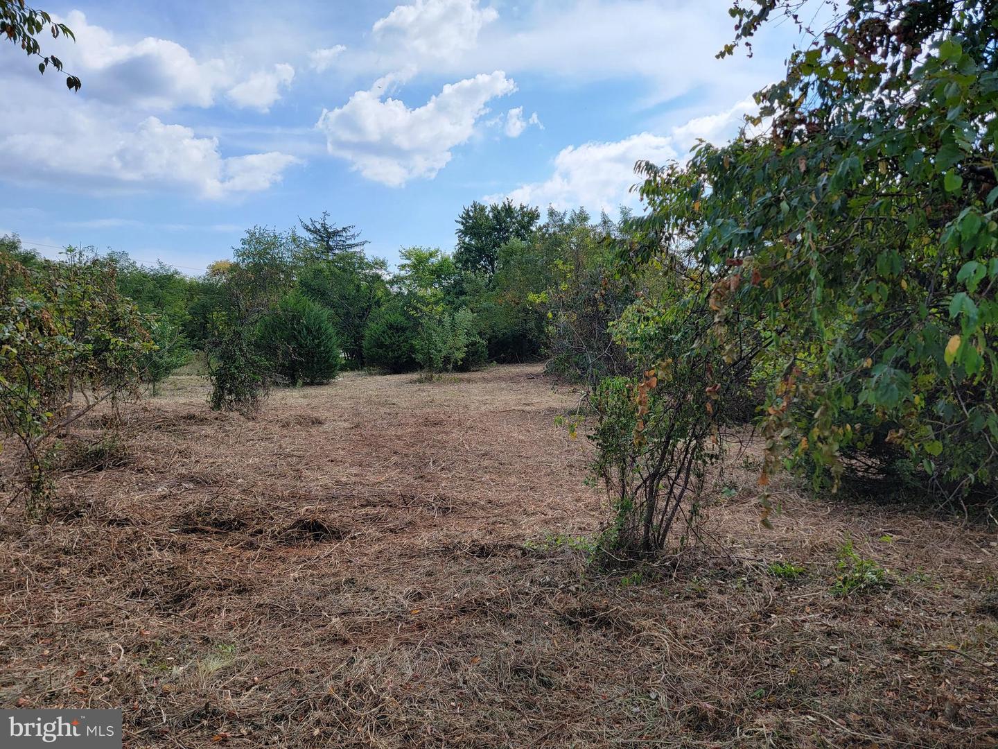 4203 LEE HIGHWAY, NEW BALTIMORE, Virginia 20187, ,Land,For sale,4203 LEE HIGHWAY,VAFQ2018328 MLS # VAFQ2018328