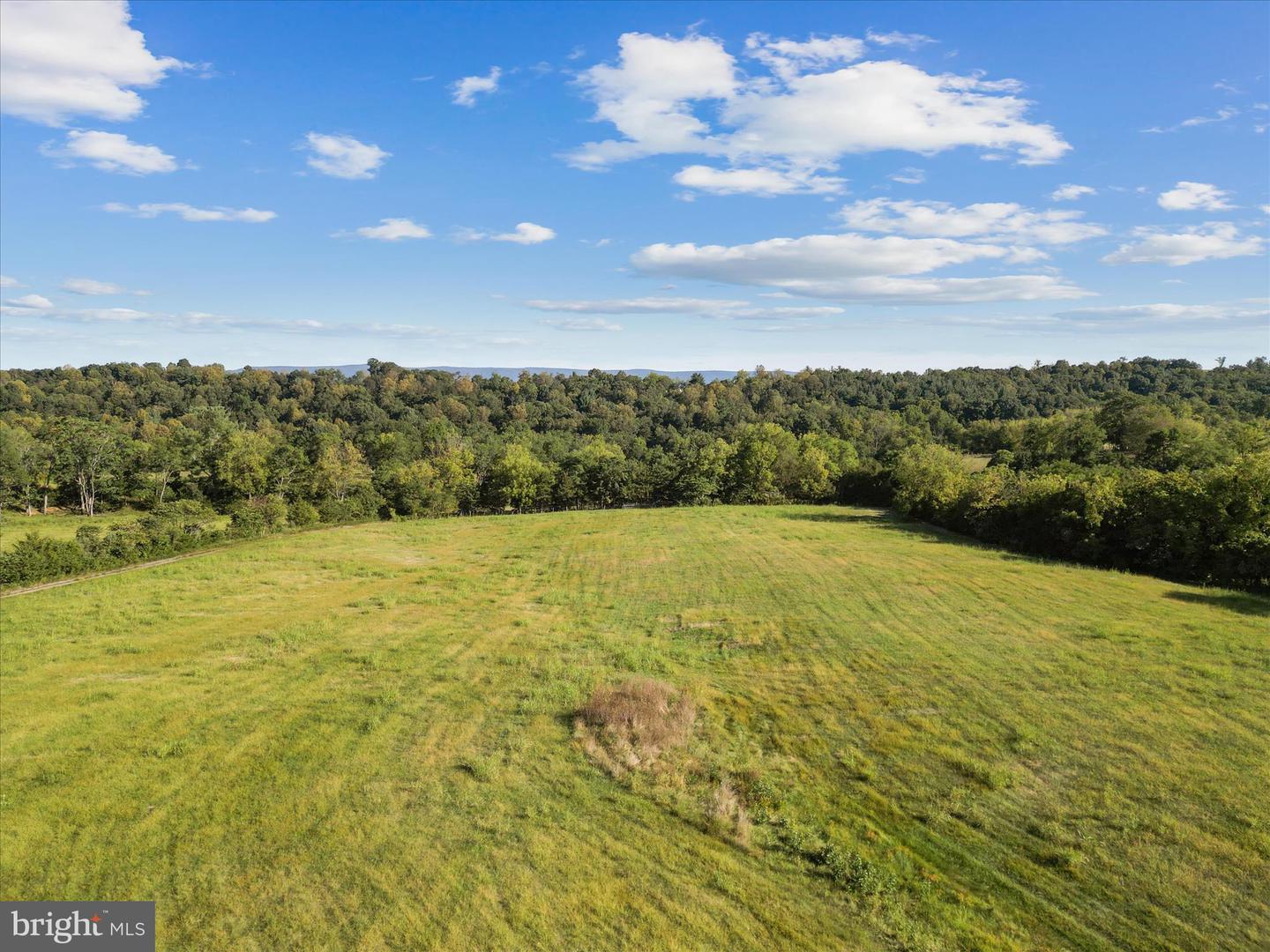 RIDGE HOLLOW RD., EDINBURG, Virginia 22824, ,Land,For sale,RIDGE HOLLOW RD.,VASH2012434 MLS # VASH2012434