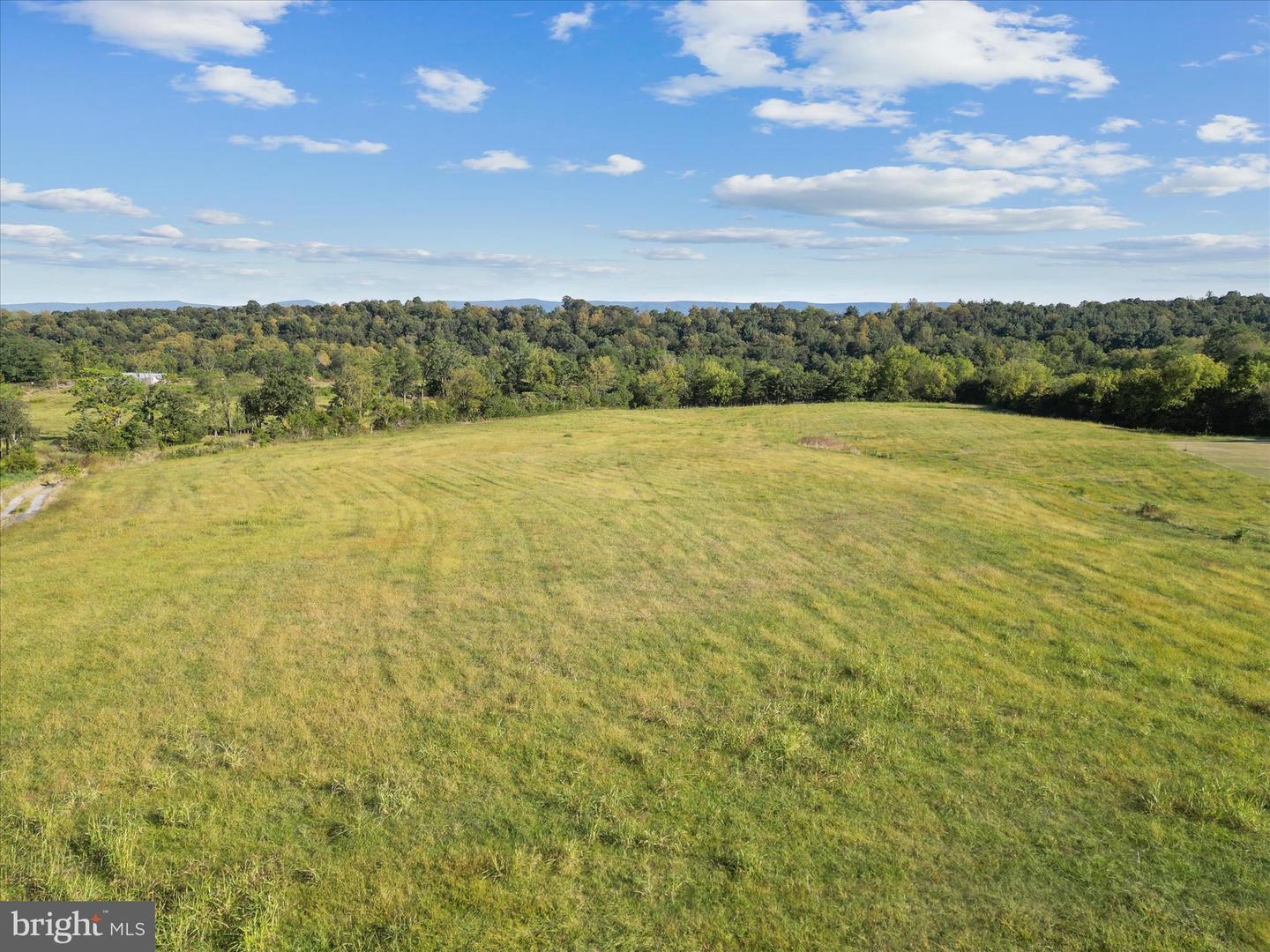 RIDGE HOLLOW RD., EDINBURG, Virginia 22824, ,Land,For sale,RIDGE HOLLOW RD.,VASH2012434 MLS # VASH2012434