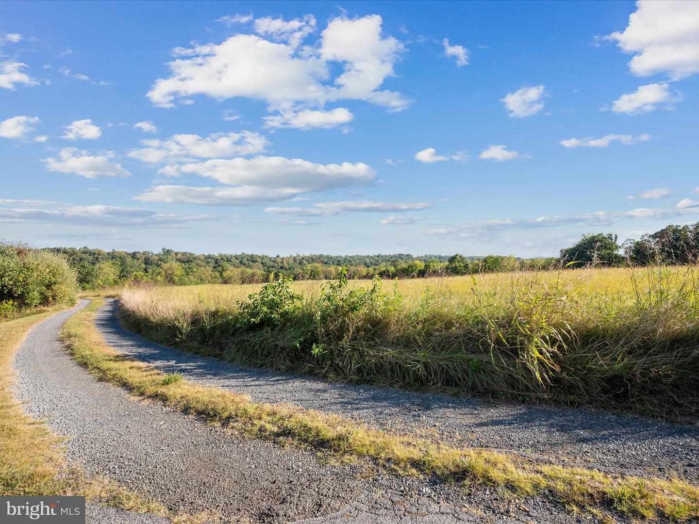 RIDGE HOLLOW RD., EDINBURG, Virginia 22824, ,Land,For sale,RIDGE HOLLOW RD.,VASH2012434 MLS # VASH2012434