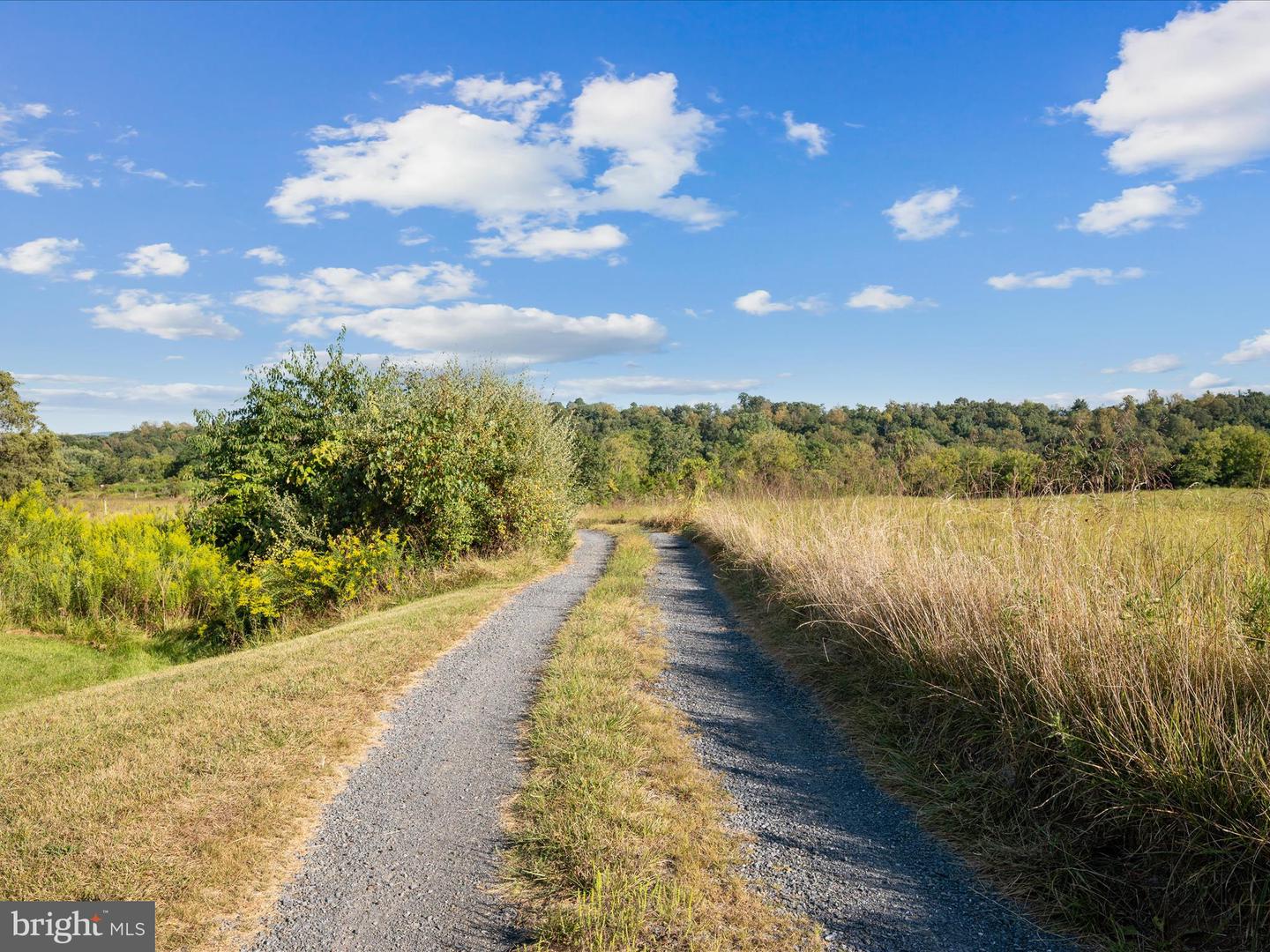 RIDGE HOLLOW RD., EDINBURG, Virginia 22824, ,Land,For sale,RIDGE HOLLOW RD.,VASH2012434 MLS # VASH2012434