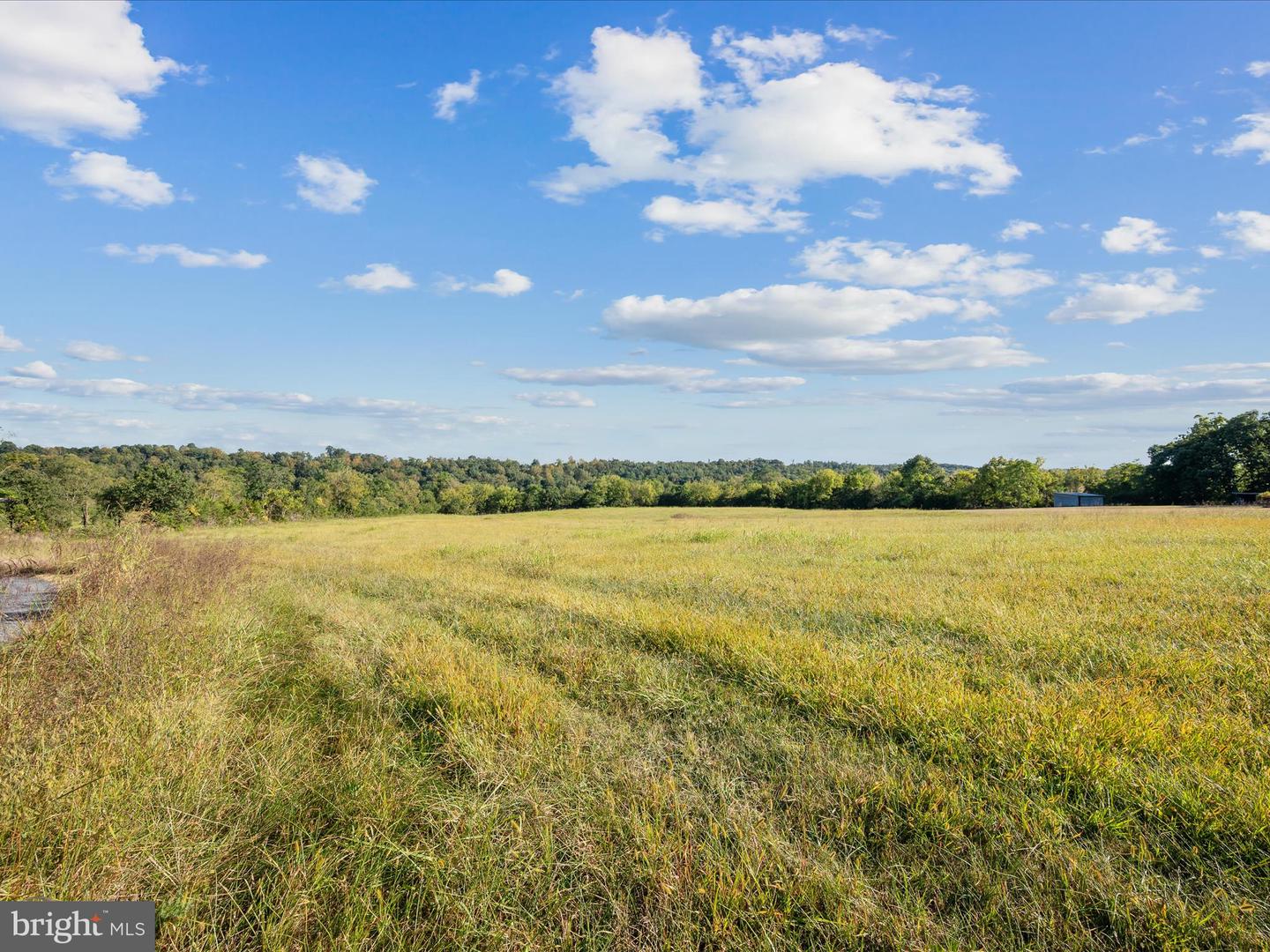 RIDGE HOLLOW RD., EDINBURG, Virginia 22824, ,Land,For sale,RIDGE HOLLOW RD.,VASH2012434 MLS # VASH2012434