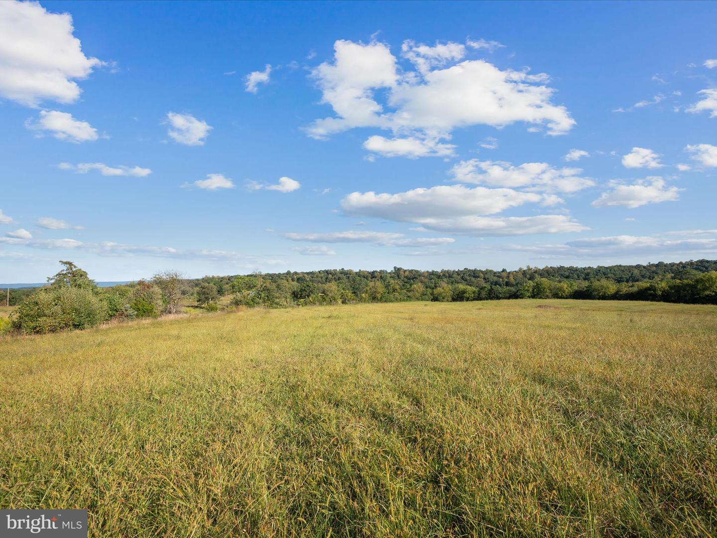 RIDGE HOLLOW RD., EDINBURG, Virginia 22824, ,Land,For sale,RIDGE HOLLOW RD.,VASH2012434 MLS # VASH2012434