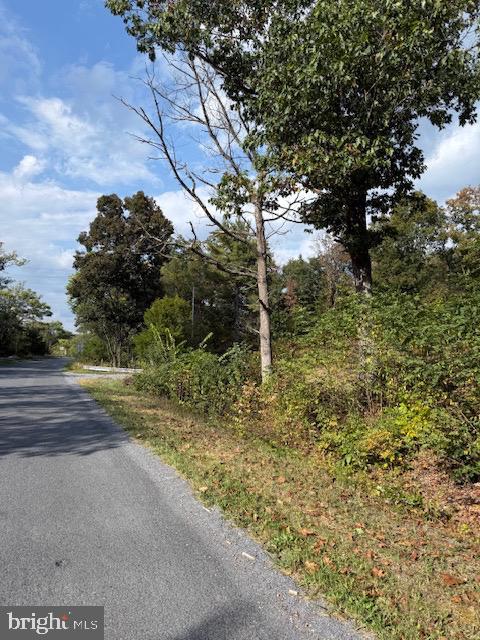 222 SILER LN, WINCHESTER, Virginia 22603, ,Land,For sale,222 SILER LN,VAFV2036842 MLS # VAFV2036842