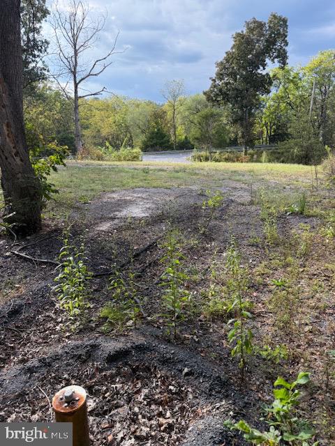222 SILER LN, WINCHESTER, Virginia 22603, ,Land,For sale,222 SILER LN,VAFV2036842 MLS # VAFV2036842