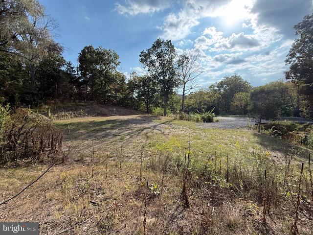 222 SILER LN, WINCHESTER, Virginia 22603, ,Land,For sale,222 SILER LN,VAFV2036842 MLS # VAFV2036842