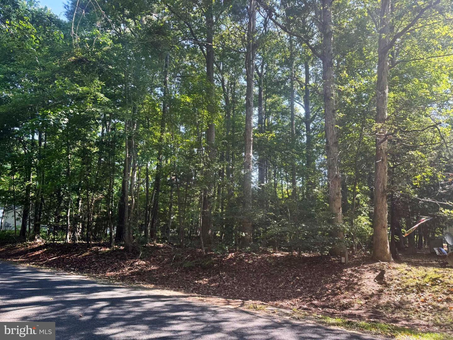 LOT 1996 MAYFLOWER DR, GREENBACKVILLE, Virginia 23356, ,Land,For sale,LOT 1996 MAYFLOWER DR,VAAC2002256 MLS # VAAC2002256