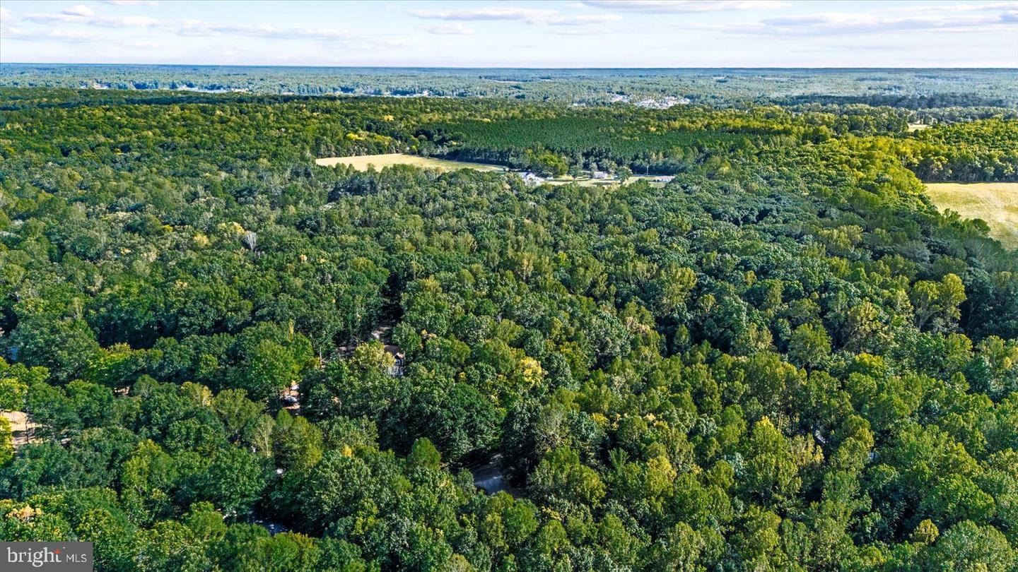 15507 HETH DR, MINERAL, Virginia 23117, 4 Bedrooms Bedrooms, ,4 BathroomsBathrooms,Residential,For sale,15507 HETH DR,VASP2036314 MLS # VASP2036314 15507 HETH DR, MINERAL, Virginia 23117, 4 Bedrooms Bedrooms, ,4 BathroomsBathrooms,Residential,For sale,15507 HETH DR,VASP2036314 MLS # VASP2036314