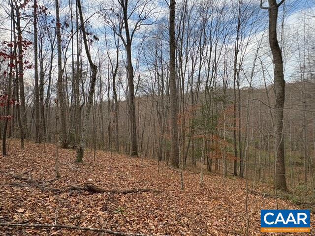 PART OF TM 24-1 MITCHELL MOUNTAIN RD #PORTION OF T, HAYWOOD, Virginia 22722, ,Land,For sale,PART OF TM 24-1 MITCHELL MOUNTAIN RD #PORTION OF T,669086 MLS # 669086