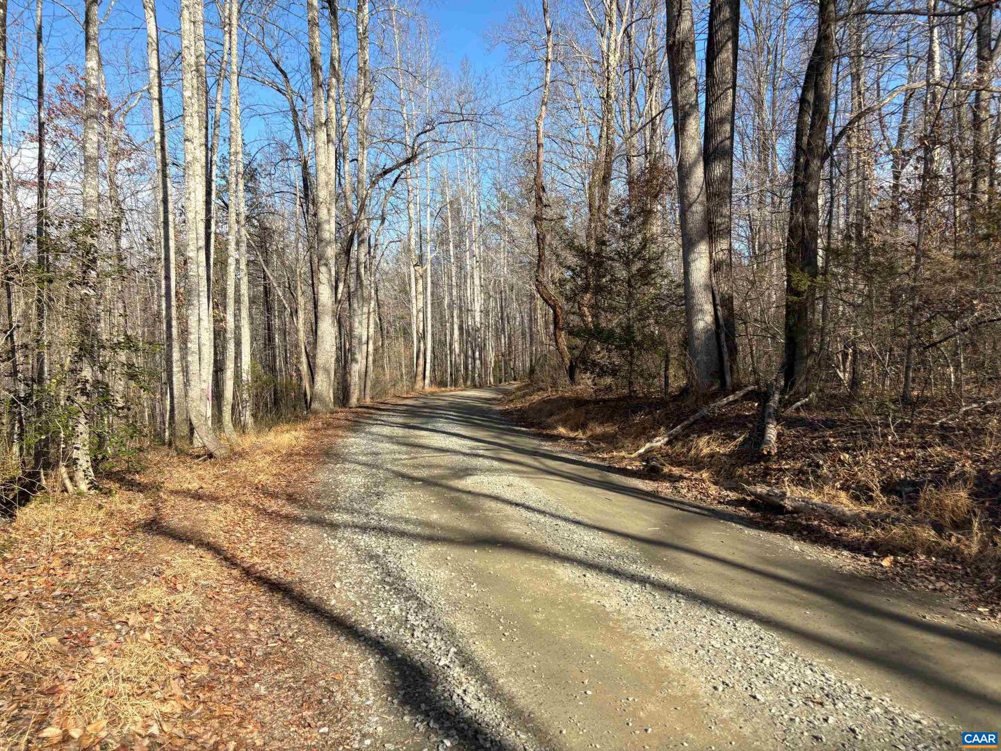 PART OF TM 24-1 MITCHELL MOUNTAIN RD #PORTION OF T, HAYWOOD, Virginia 22722, ,Land,For sale,PART OF TM 24-1 MITCHELL MOUNTAIN RD #PORTION OF T,669086 MLS # 669086