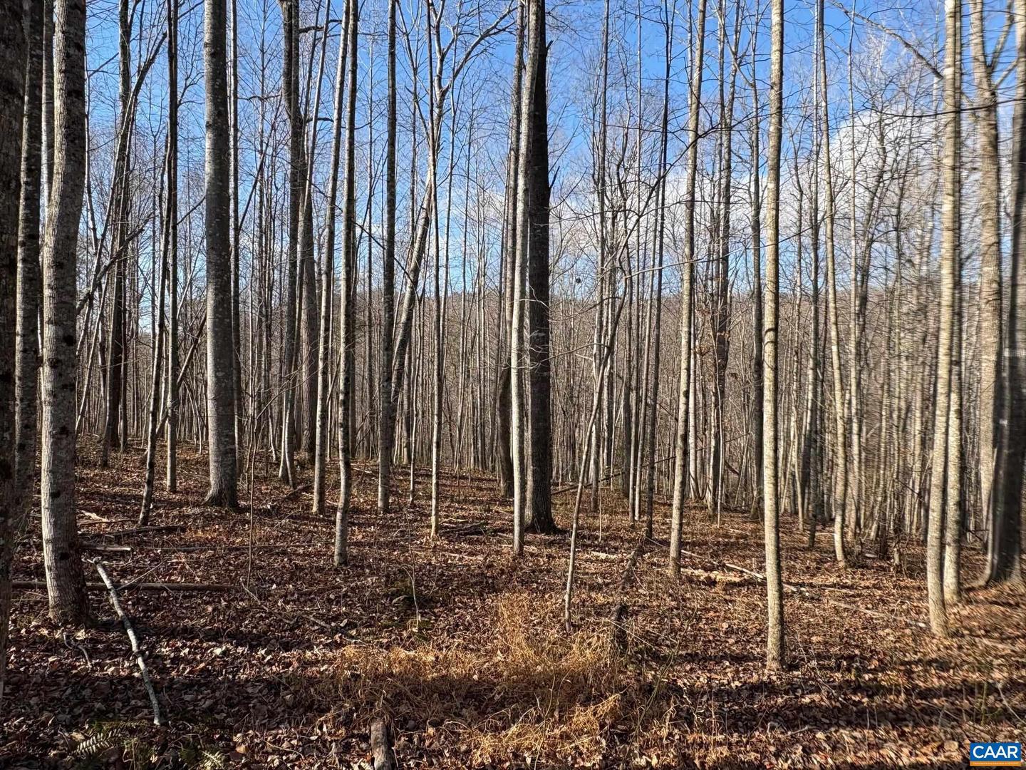 PART OF TM 24-1 MITCHELL MOUNTAIN RD #PORTION OF T, HAYWOOD, Virginia 22722, ,Land,For sale,PART OF TM 24-1 MITCHELL MOUNTAIN RD #PORTION OF T,669086 MLS # 669086