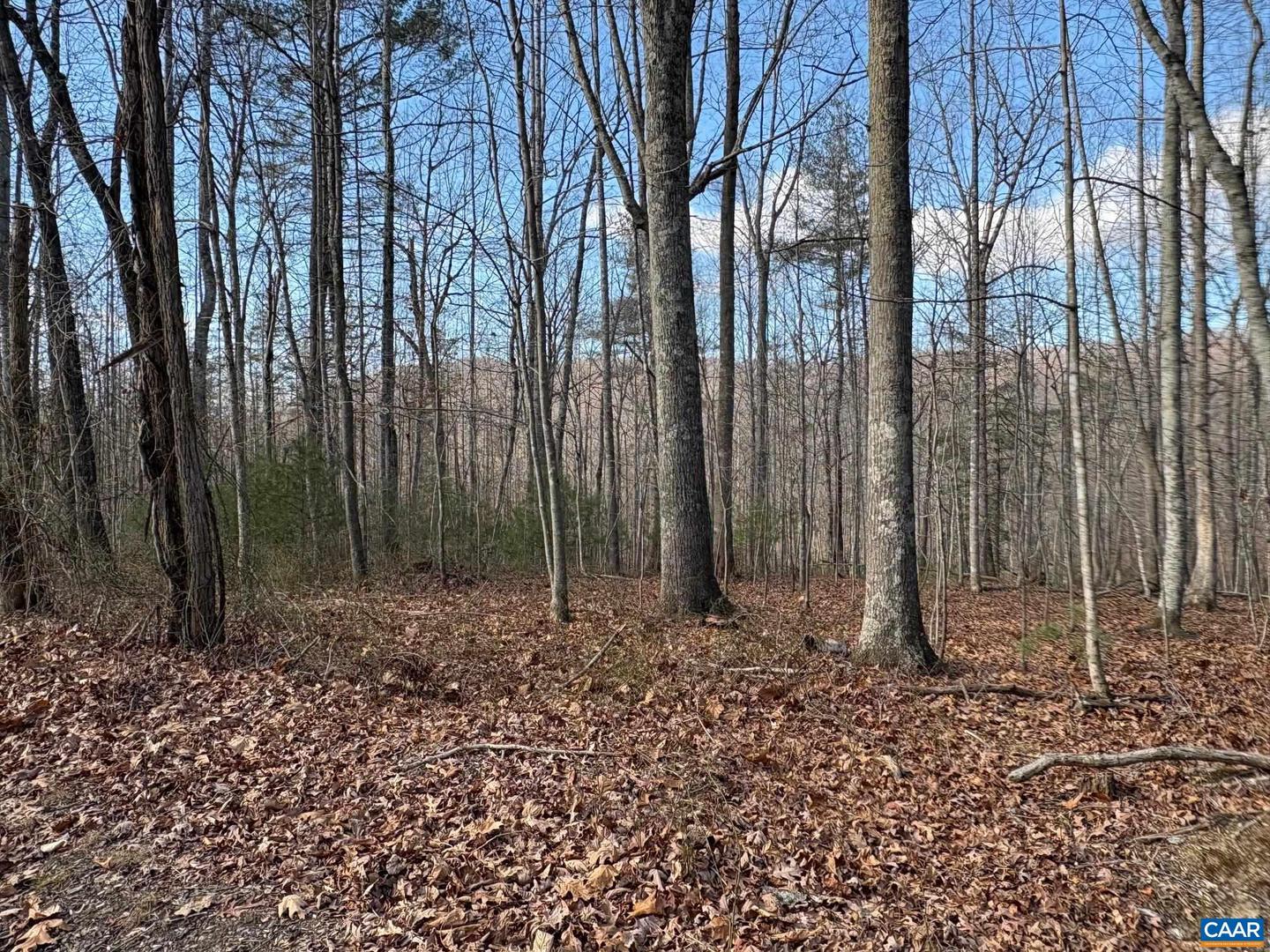 PART OF TM 24-1 MITCHELL MOUNTAIN RD #PORTION OF T, HAYWOOD, Virginia 22722, ,Land,For sale,PART OF TM 24-1 MITCHELL MOUNTAIN RD #PORTION OF T,669086 MLS # 669086