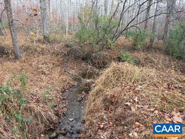 PART OF TM 24-1 MITCHELL MOUNTAIN RD #PORTION OF T, HAYWOOD, Virginia 22722, ,Land,For sale,PART OF TM 24-1 MITCHELL MOUNTAIN RD #PORTION OF T,669086 MLS # 669086