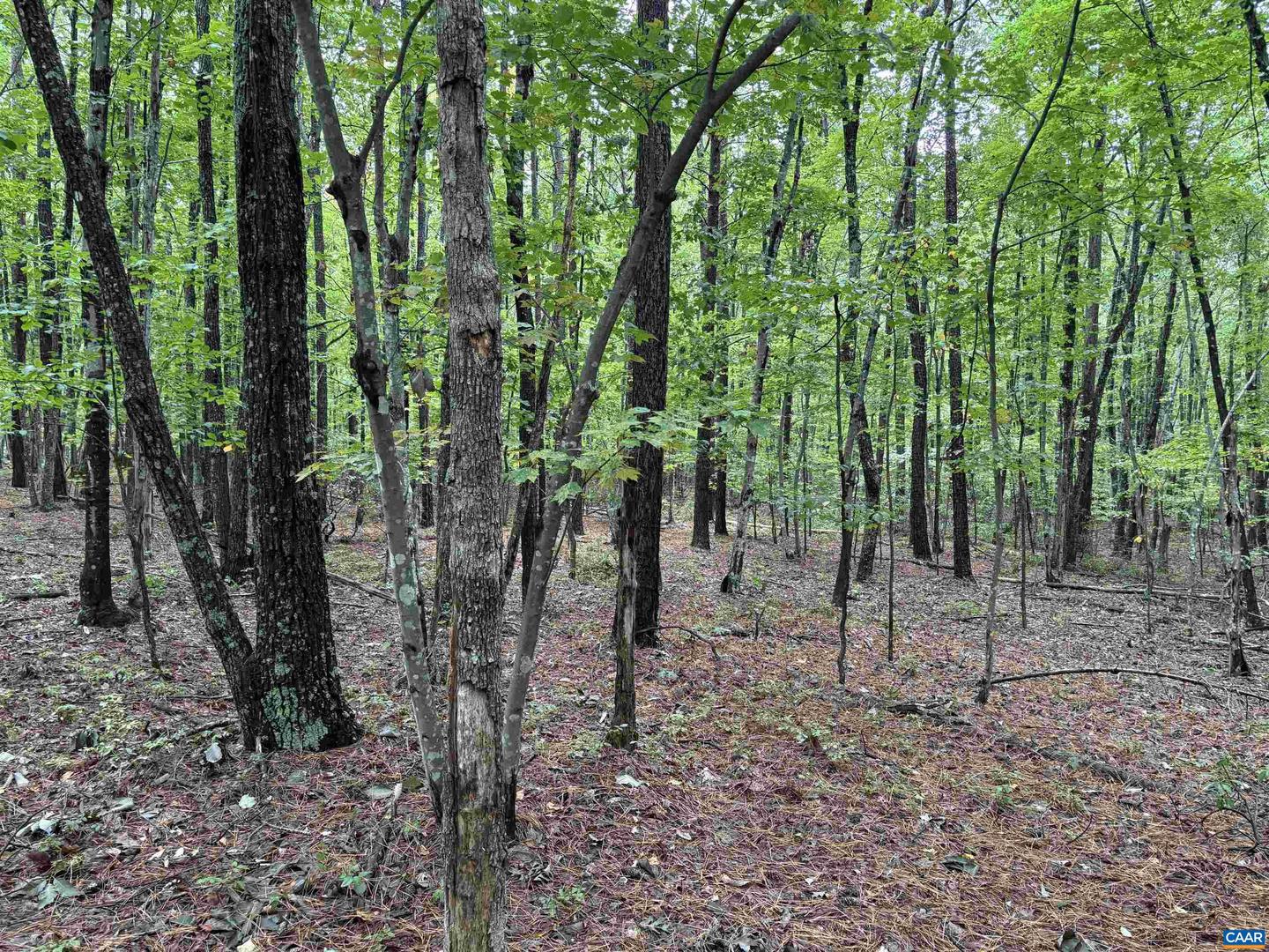 0 MEADOW CREEK RD, WINGINA, Virginia 24599, ,Land,For sale,0 MEADOW CREEK RD,669096 MLS # 669096