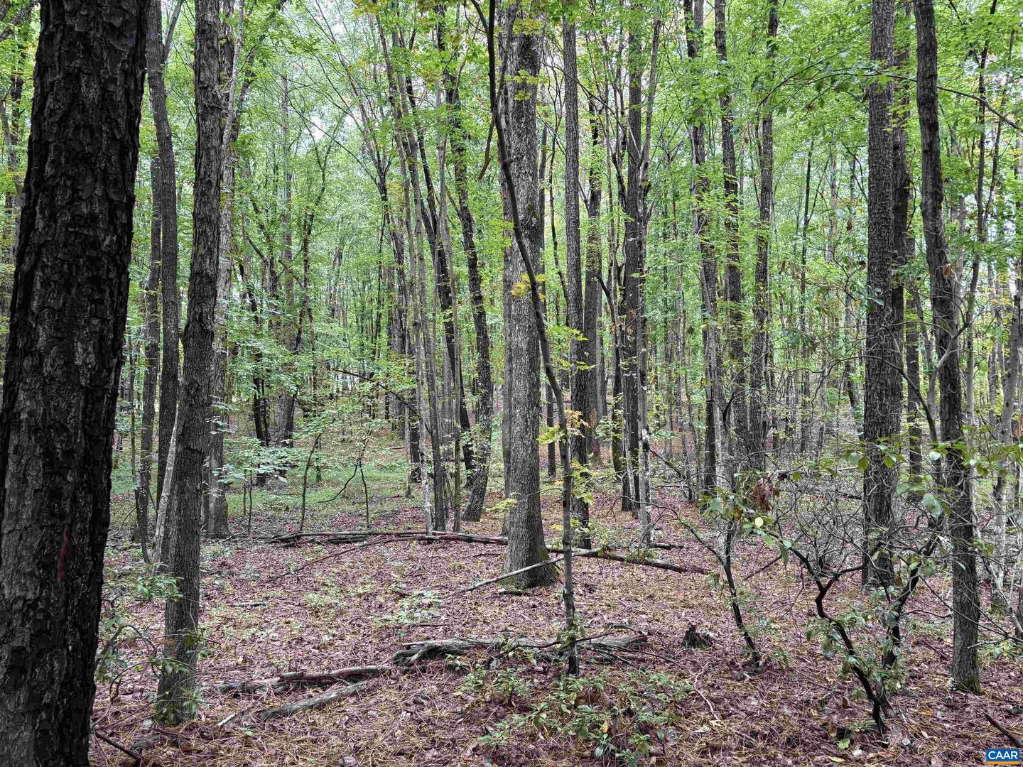 0 MEADOW CREEK RD, WINGINA, Virginia 24599, ,Land,For sale,0 MEADOW CREEK RD,669096 MLS # 669096