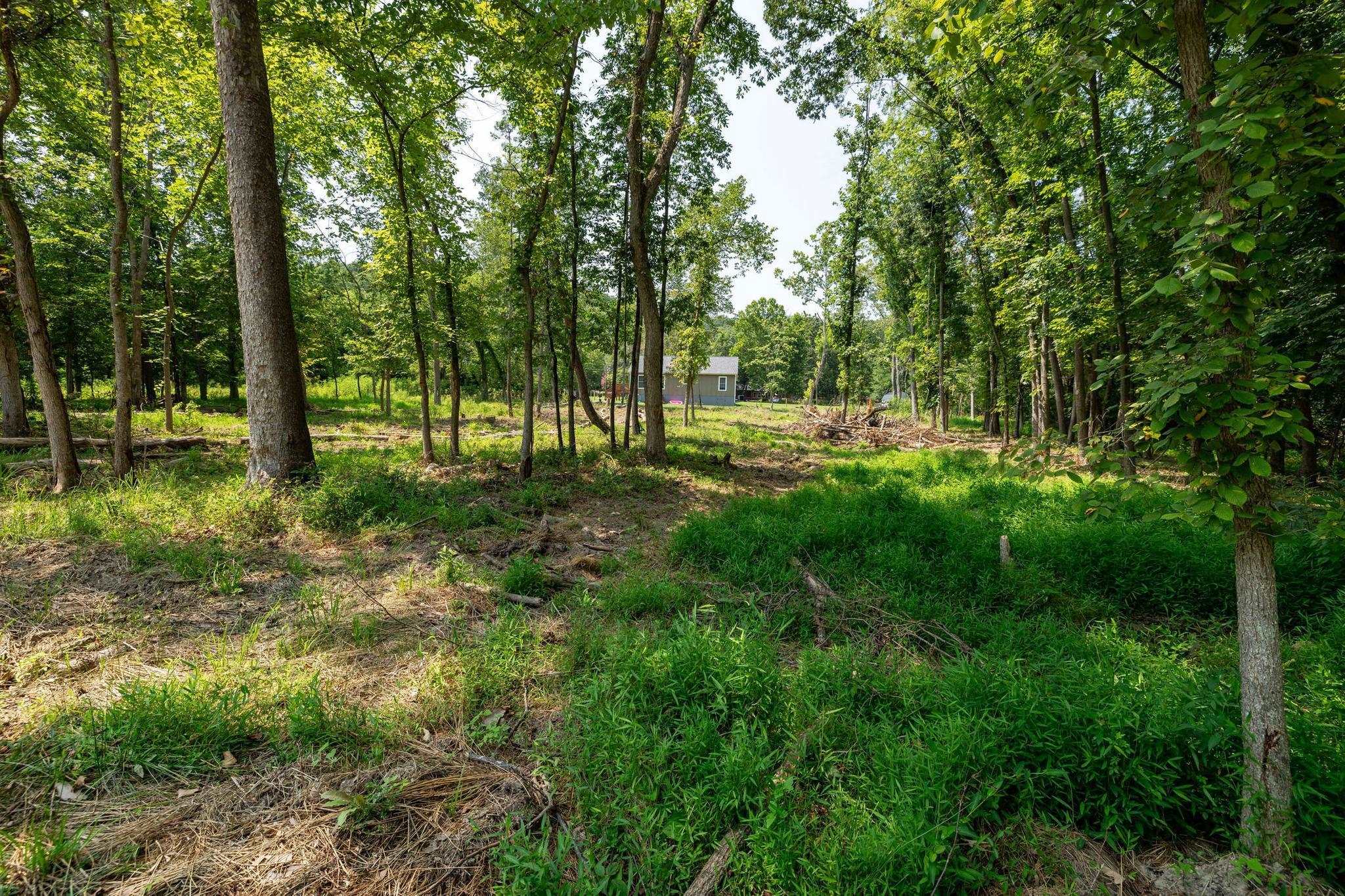 Lots 6 & 7 FISHERMANS LN, LURAY, Virginia 22835, ,Land,Lots 6 & 7 FISHERMANS LN,669105 MLS # 669105