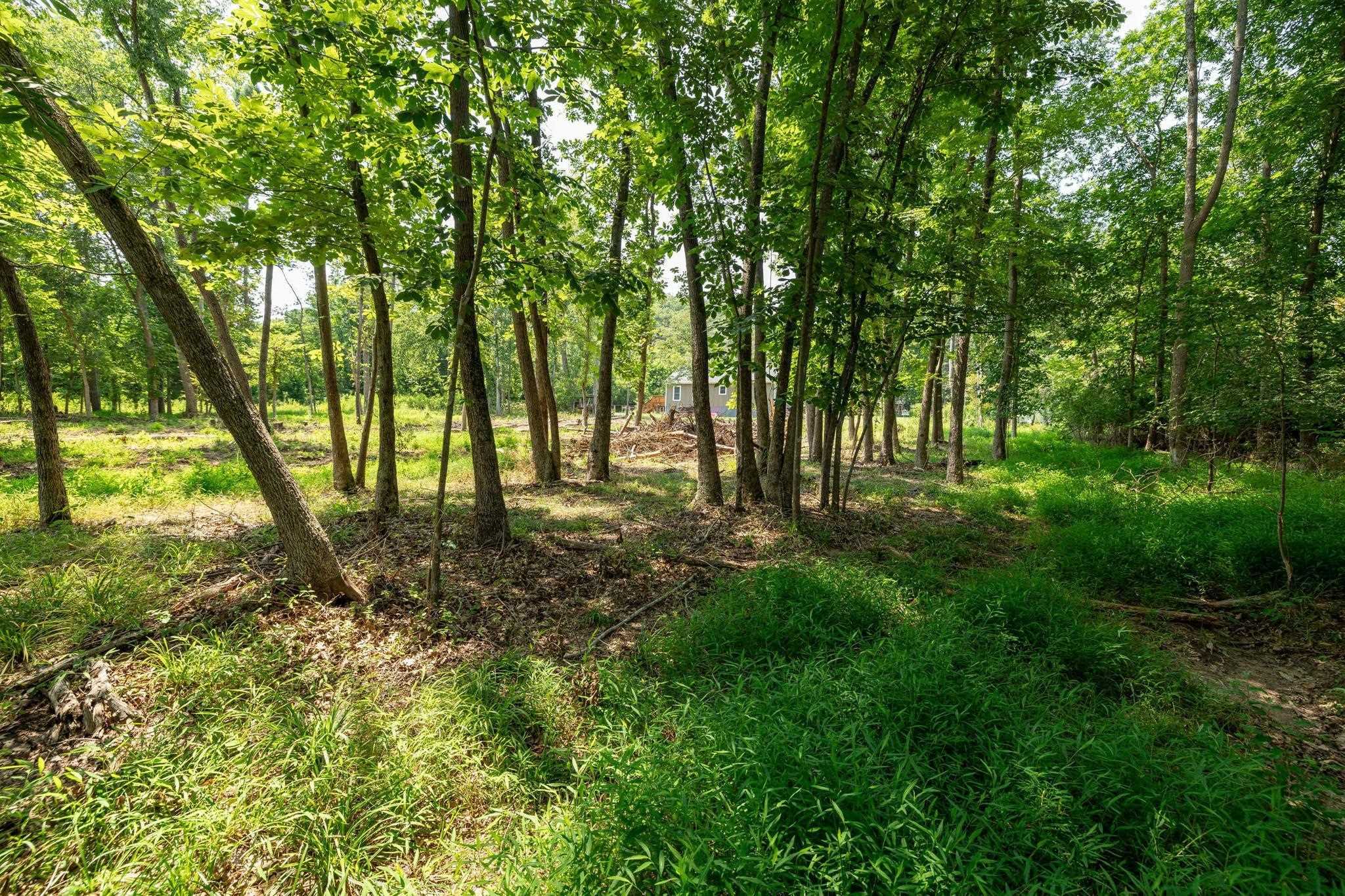 Lots 6 & 7 FISHERMANS LN, LURAY, Virginia 22835, ,Land,Lots 6 & 7 FISHERMANS LN,669105 MLS # 669105