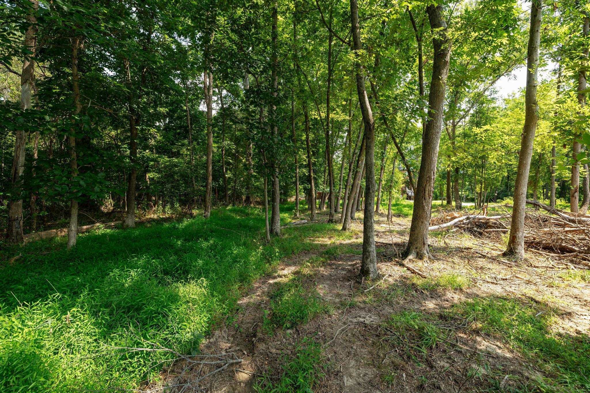 Lots 6 & 7 FISHERMANS LN, LURAY, Virginia 22835, ,Land,Lots 6 & 7 FISHERMANS LN,669105 MLS # 669105