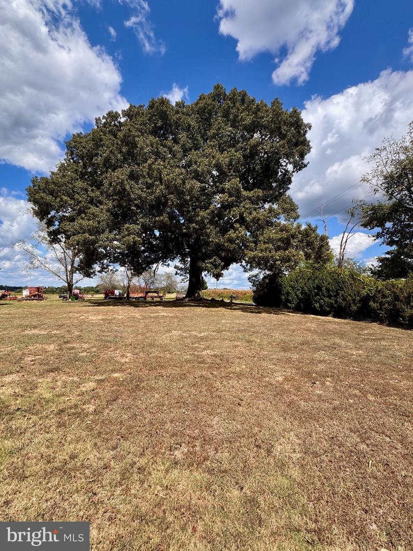7016 DON RD, MINERAL, Virginia 23117, 3 Bedrooms Bedrooms, ,2 BathroomsBathrooms,Residential,For sale,7016 DON RD,VASP2036316 MLS # VASP2036316
