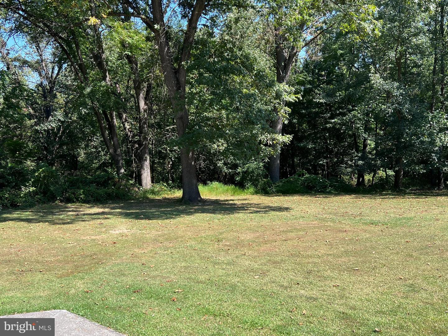 123 OAK HILL DR, WOODSTOCK, Virginia 22664, 3 Bedrooms Bedrooms, ,3 BathroomsBathrooms,Residential,For sale,123 OAK HILL DR,VASH2012552 MLS # VASH2012552 123 OAK HILL DR, WOODSTOCK, Virginia 22664, 3 Bedrooms Bedrooms, ,3 BathroomsBathrooms,Residential,For sale,123 OAK HILL DR,VASH2012552 MLS # VASH2012552