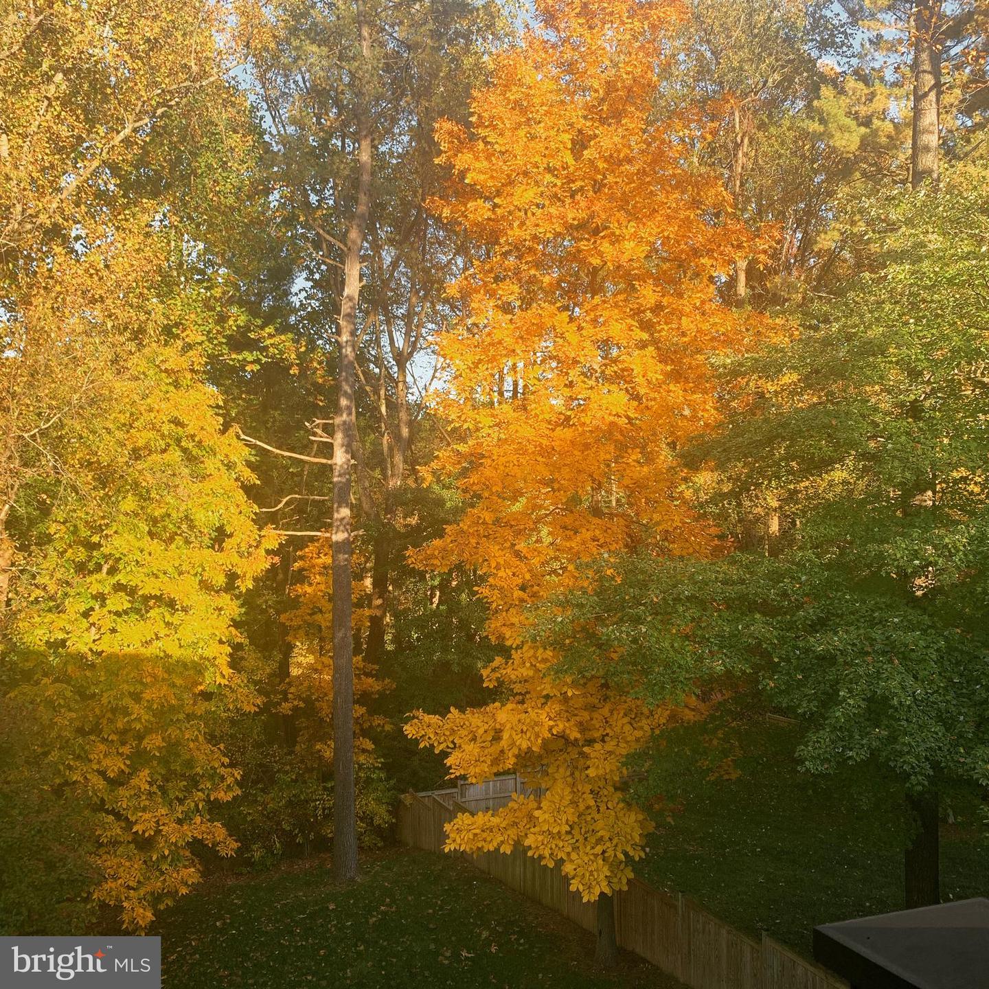 510 WALKER ST SW, VIENNA, Virginia 22180, 5 Bedrooms Bedrooms, ,4 BathroomsBathrooms,Residential,For sale,510 WALKER ST SW,VAFX2267652 MLS # VAFX2267652