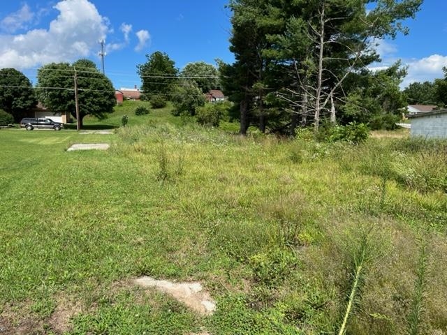 62 N HANCOCK ST, CRAIGSVILLE, Virginia 24430, ,Land,62 N HANCOCK ST,661872 MLS # 661872