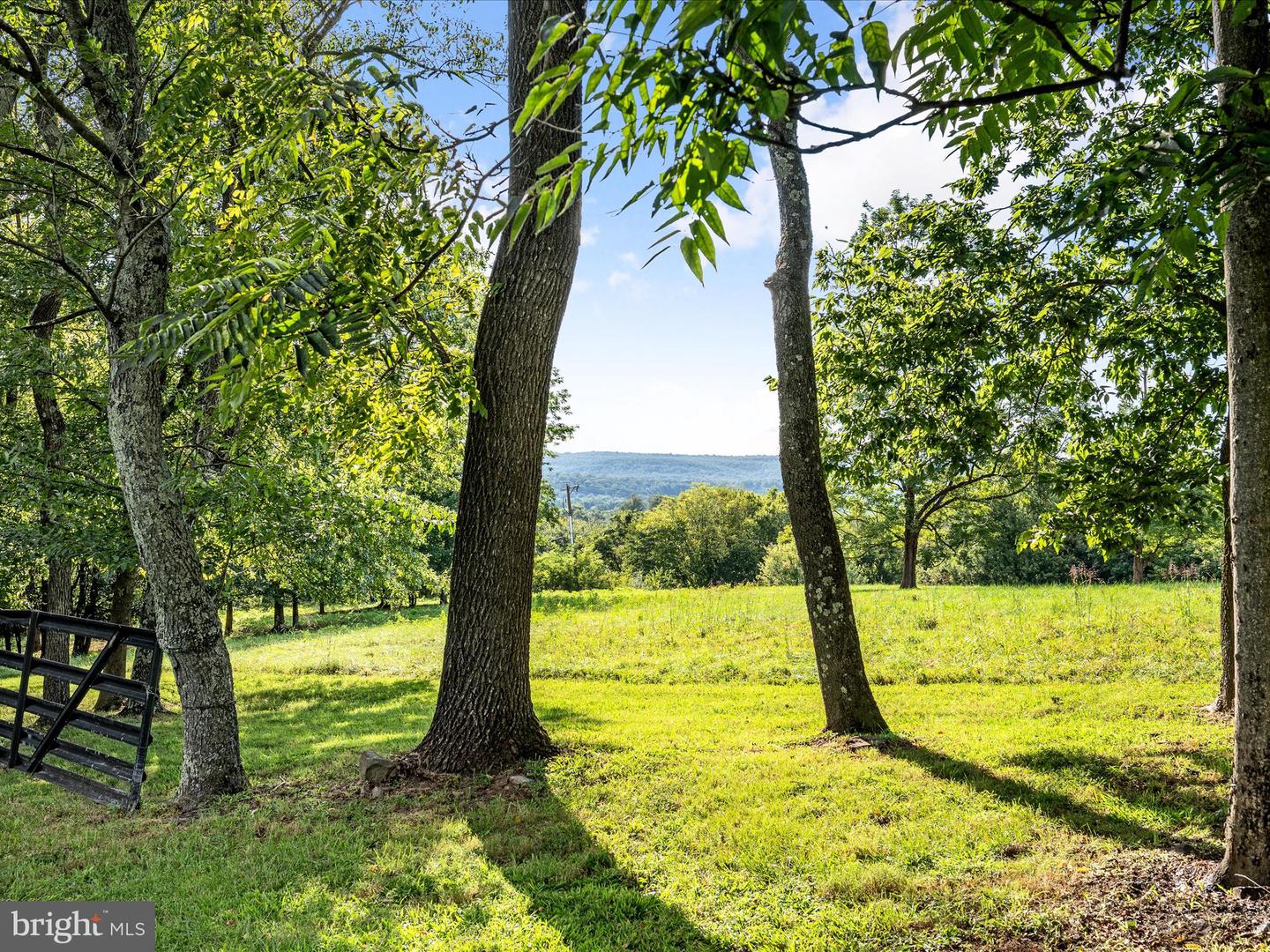 36762 CHARLES TOWN PIKE, HILLSBORO, Virginia 20132, 3 Bedrooms Bedrooms, ,2 BathroomsBathrooms,Residential,For sale,36762 CHARLES TOWN PIKE,VALO2100484 MLS # VALO2100484