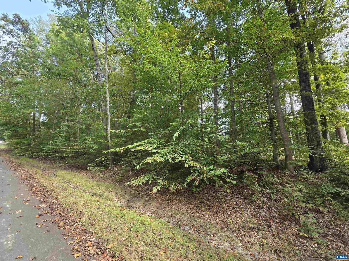 230 BEECH NUT DR #951 & 952, LOUISA, Virginia 23093, ,Land,For sale,230 BEECH NUT DR #951 & 952,669149 MLS # 669149