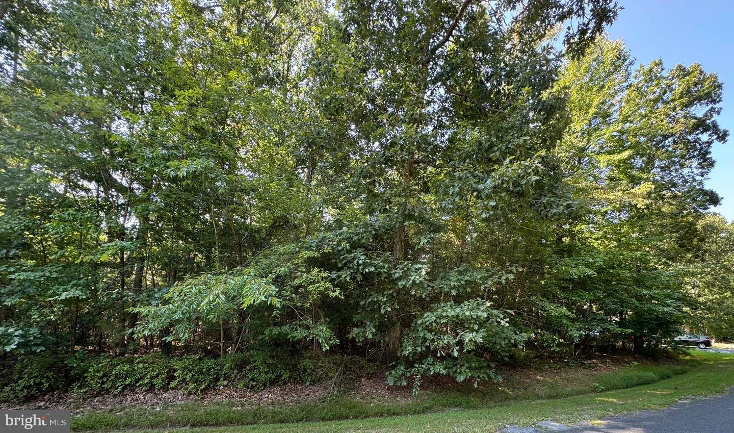 LOT 2067 MAYFLOWER DR, GREENBACKVILLE, Virginia 23356, ,Land,For sale,LOT 2067 MAYFLOWER DR,VAAC2002264 MLS # VAAC2002264