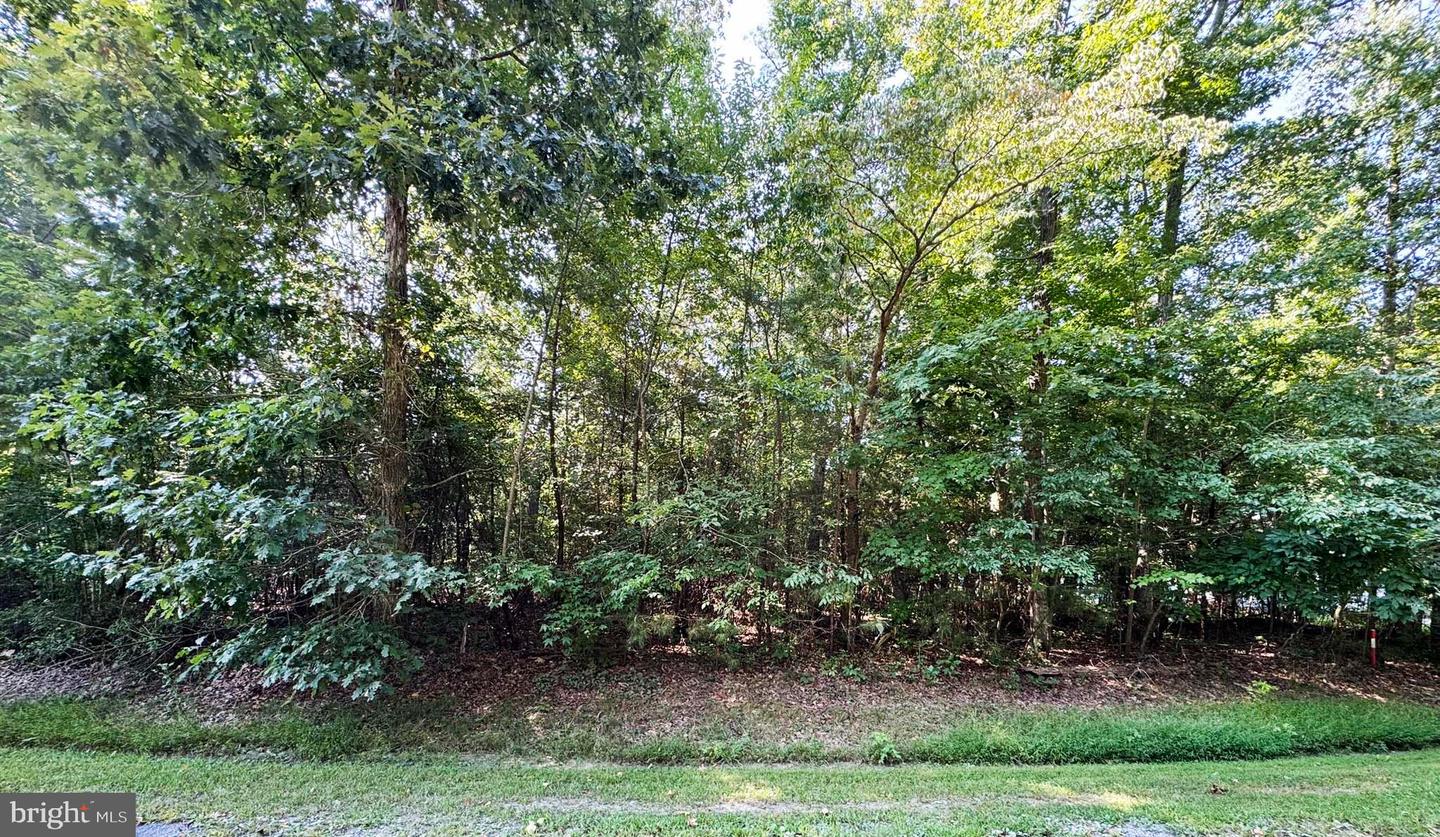 LOT 2067 MAYFLOWER DR, GREENBACKVILLE, Virginia 23356, ,Land,For sale,LOT 2067 MAYFLOWER DR,VAAC2002264 MLS # VAAC2002264
