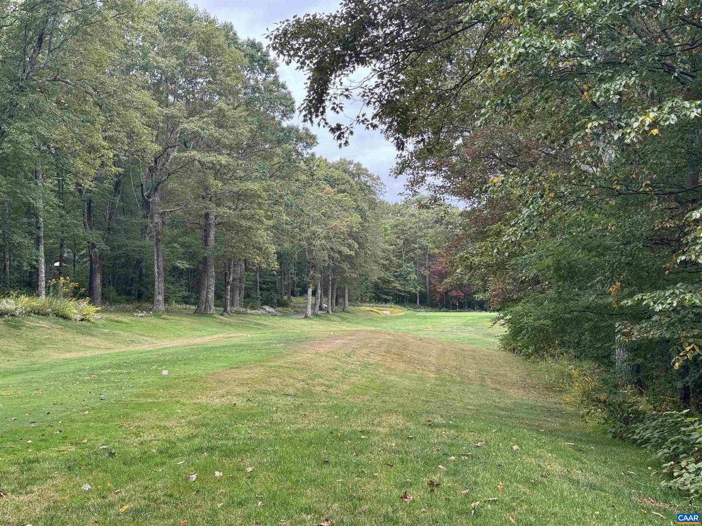 88 DEERBERRY LN #7, WINTERGREEN RESORT, Virginia 22967, ,Land,For sale,88 DEERBERRY LN #7,669154 MLS # 669154