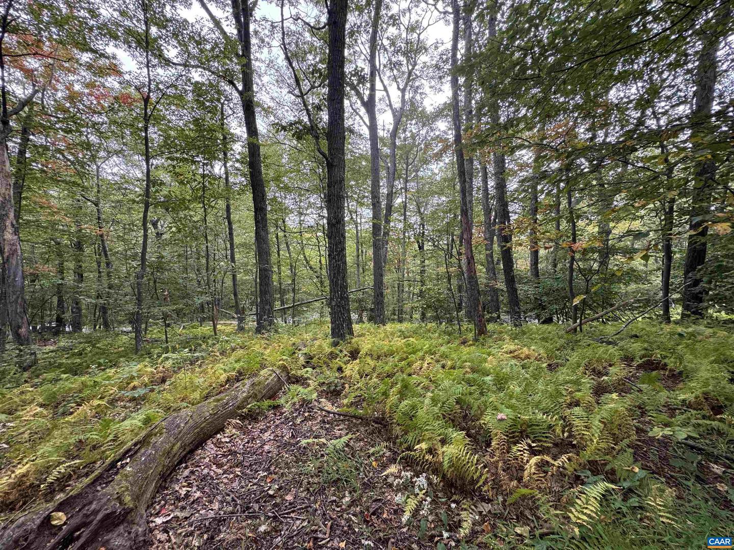 88 DEERBERRY LN #7, WINTERGREEN RESORT, Virginia 22967, ,Land,For sale,88 DEERBERRY LN #7,669154 MLS # 669154