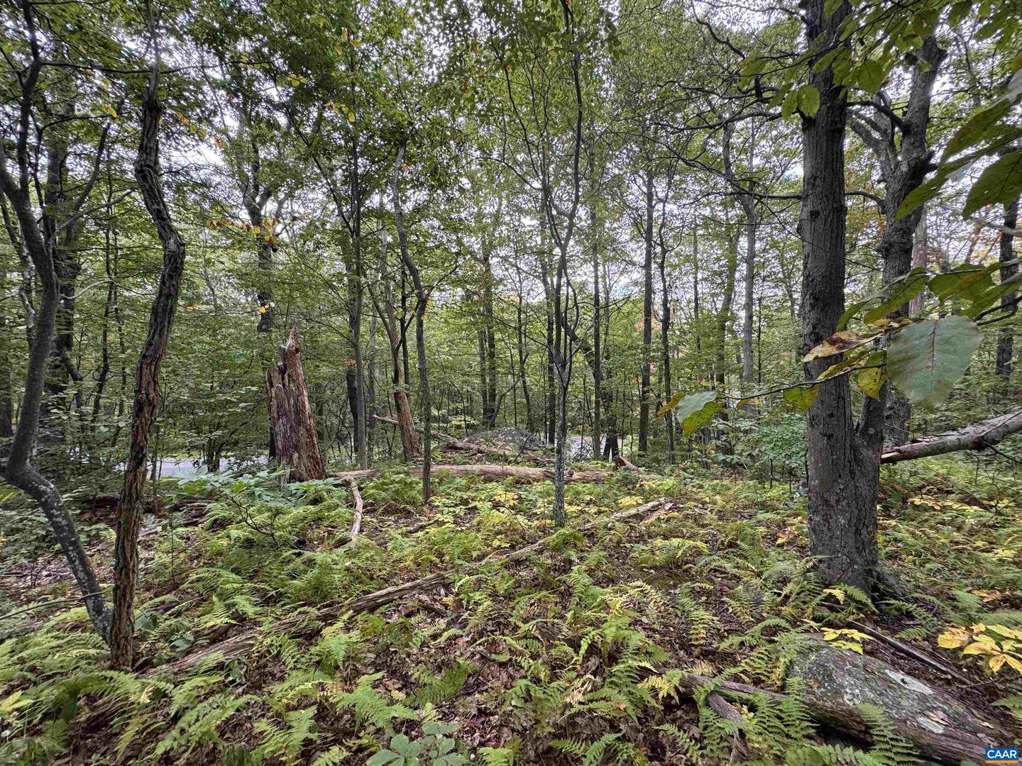 88 DEERBERRY LN #7, WINTERGREEN RESORT, Virginia 22967, ,Land,For sale,88 DEERBERRY LN #7,669154 MLS # 669154