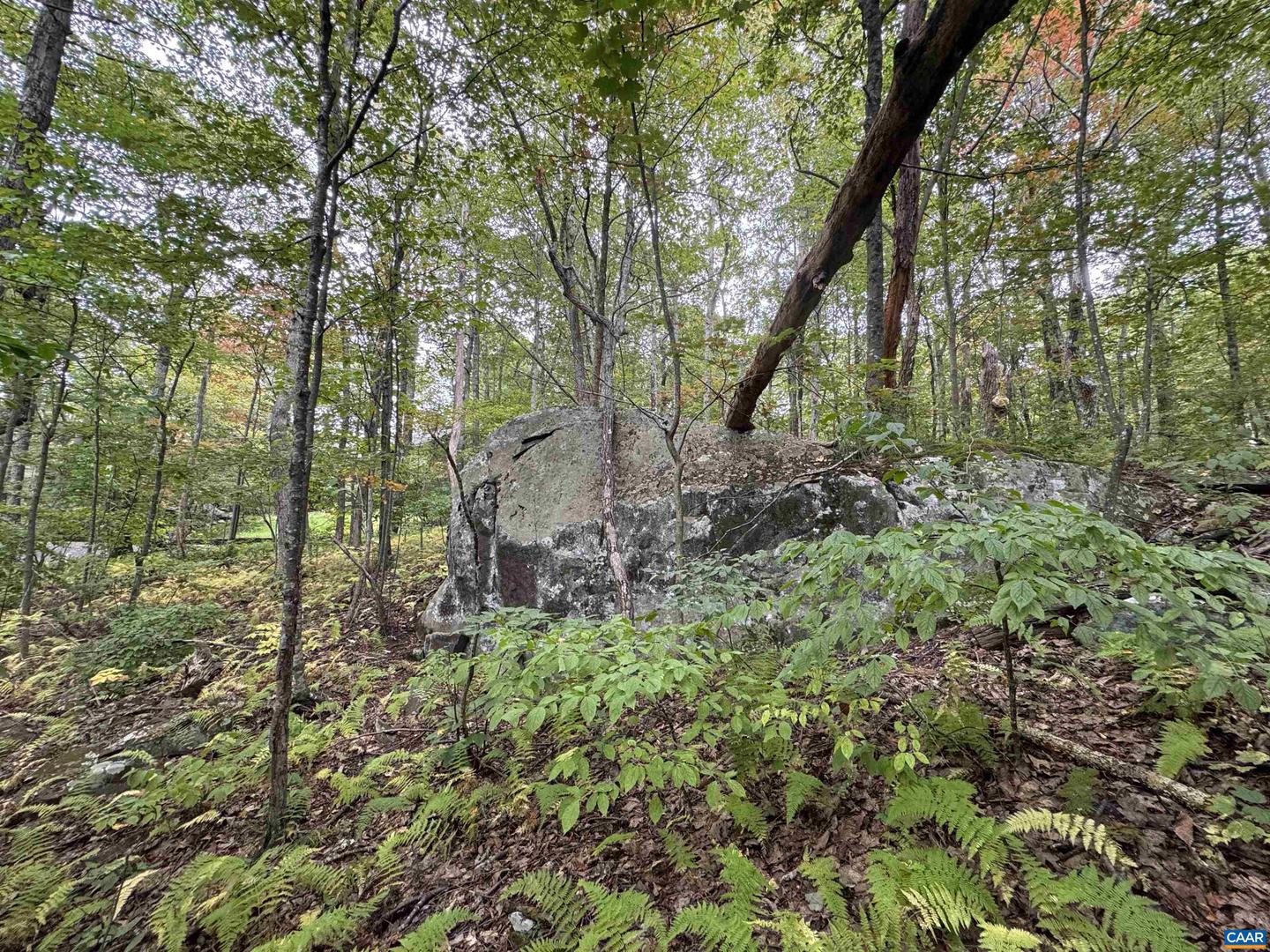 88 DEERBERRY LN #7, WINTERGREEN RESORT, Virginia 22967, ,Land,For sale,88 DEERBERRY LN #7,669154 MLS # 669154