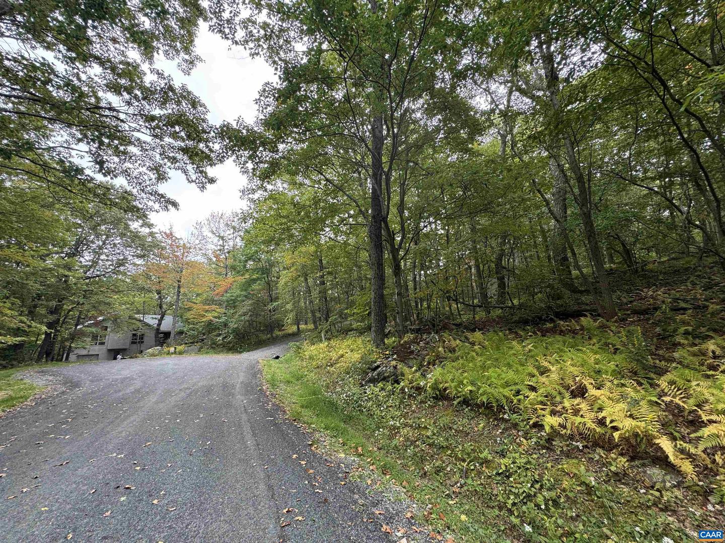 88 DEERBERRY LN #7, WINTERGREEN RESORT, Virginia 22967, ,Land,For sale,88 DEERBERRY LN #7,669154 MLS # 669154